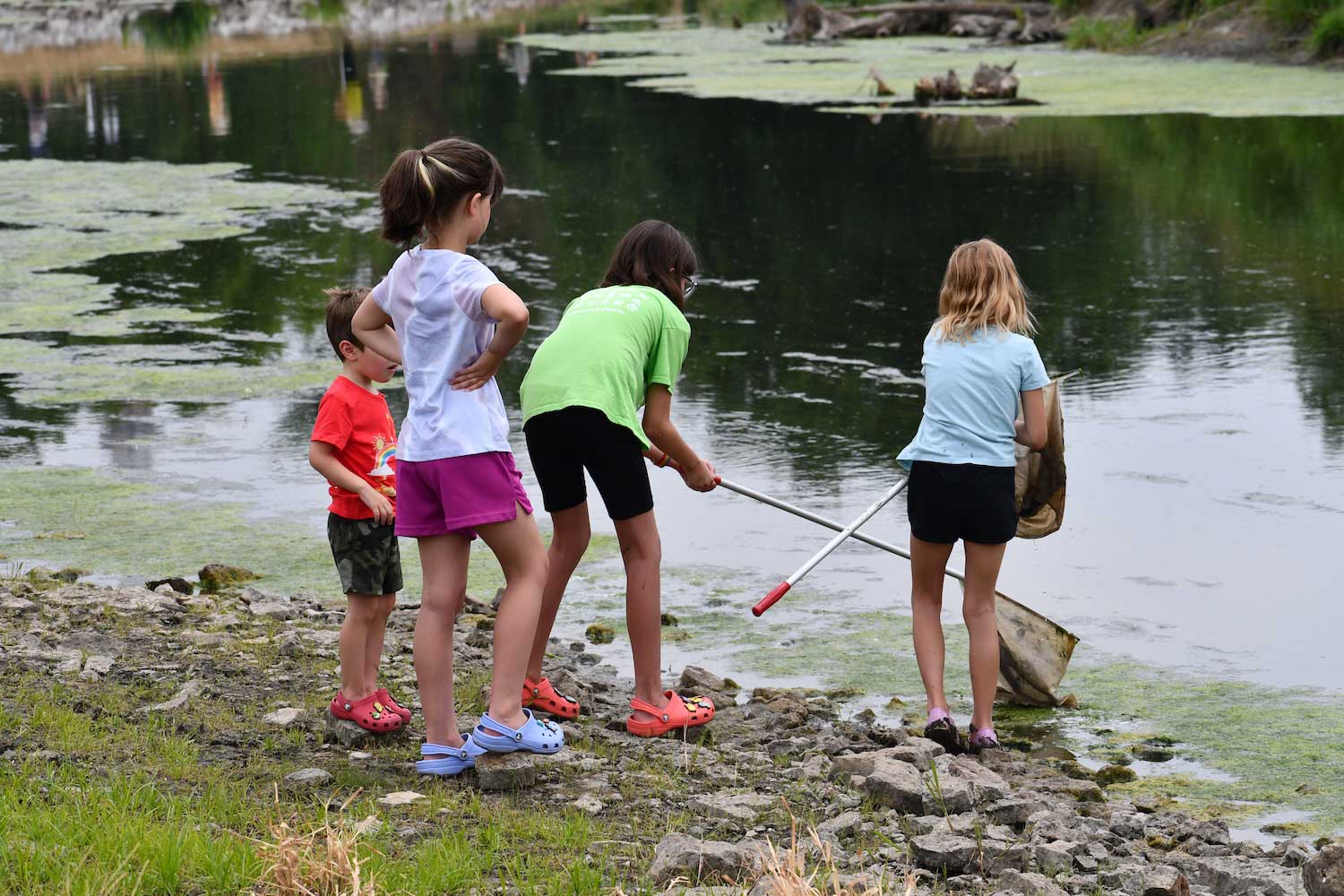 Four kids standing along a rocky shoreline. Two have nets to dip into the water.