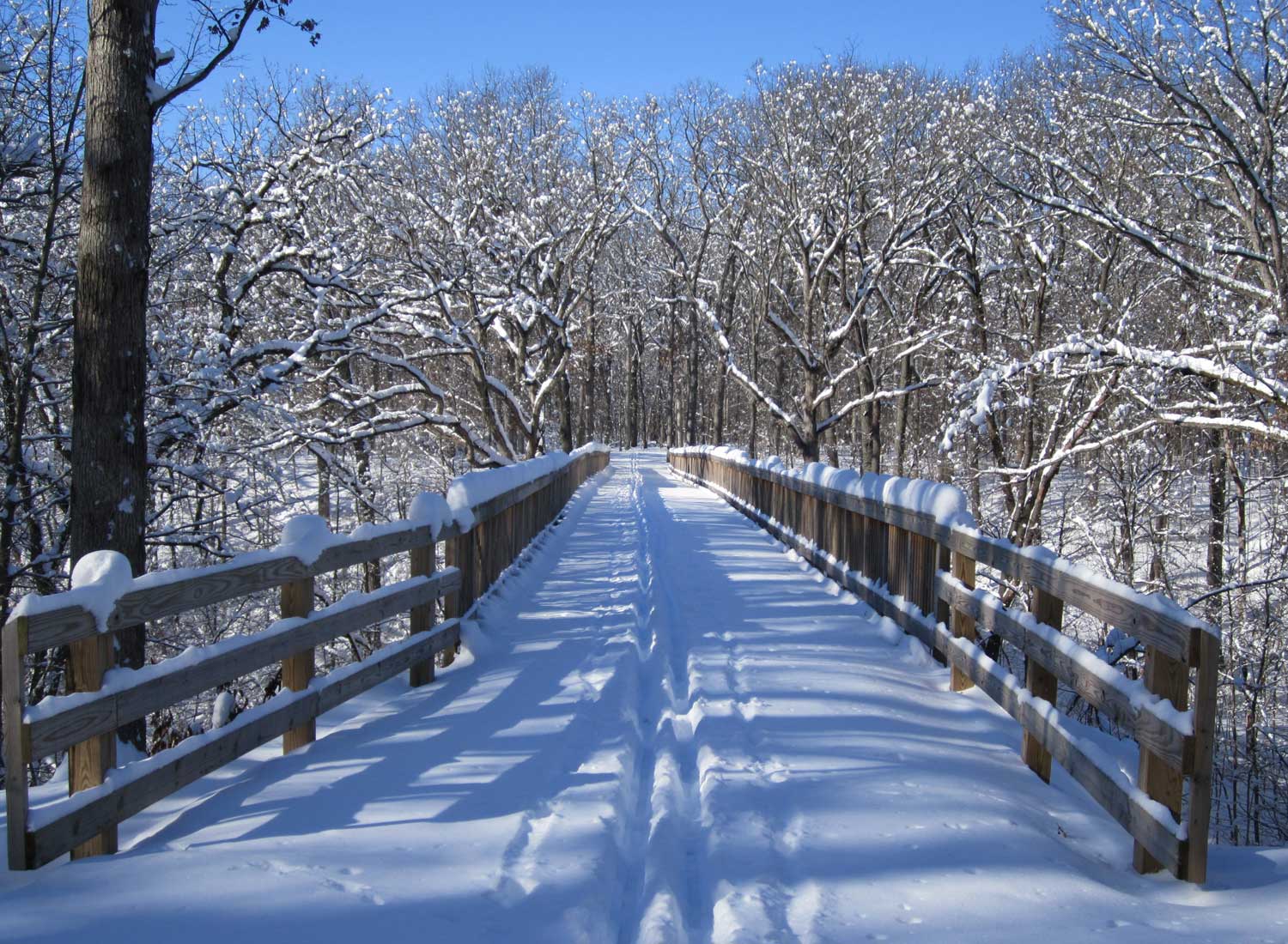 Photo for: Shed Your Pandemic Pounds with Outdoor Winter Activities