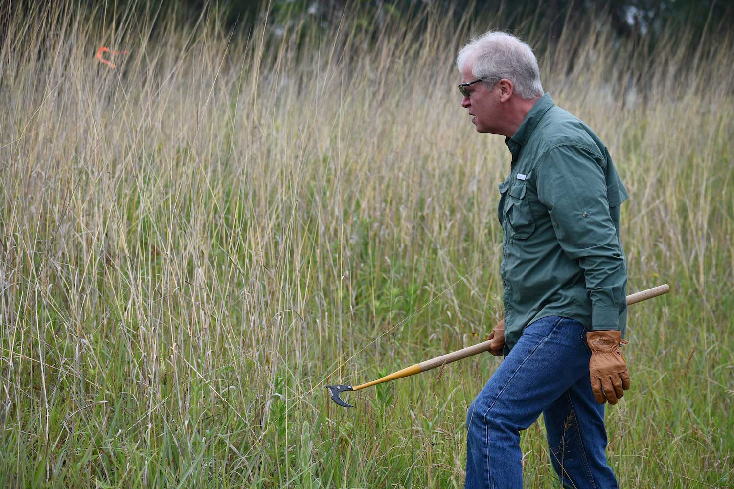 A person walking through a prairie carrying a tool.