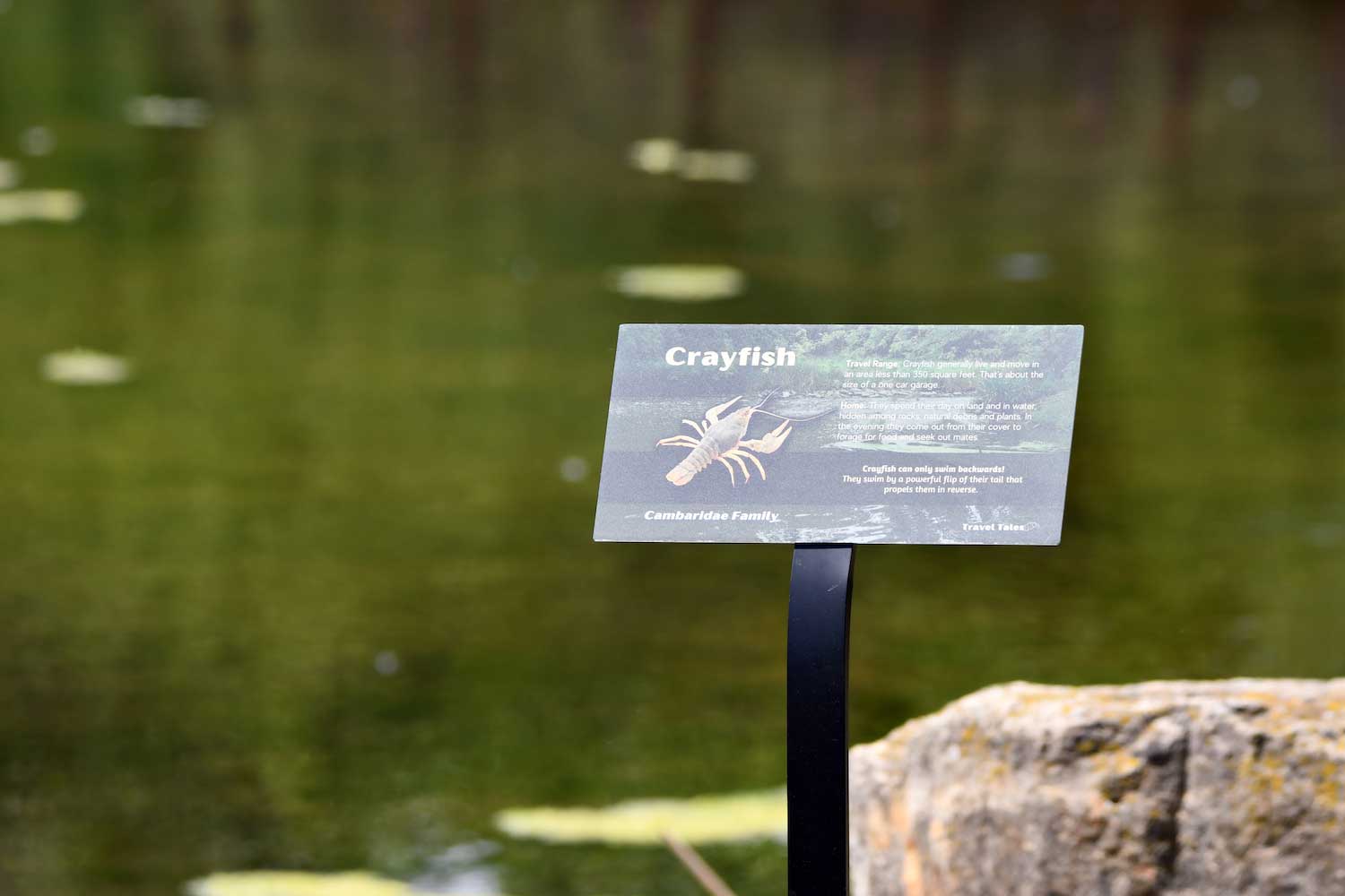 An interpretive sign posted in front of a pond.