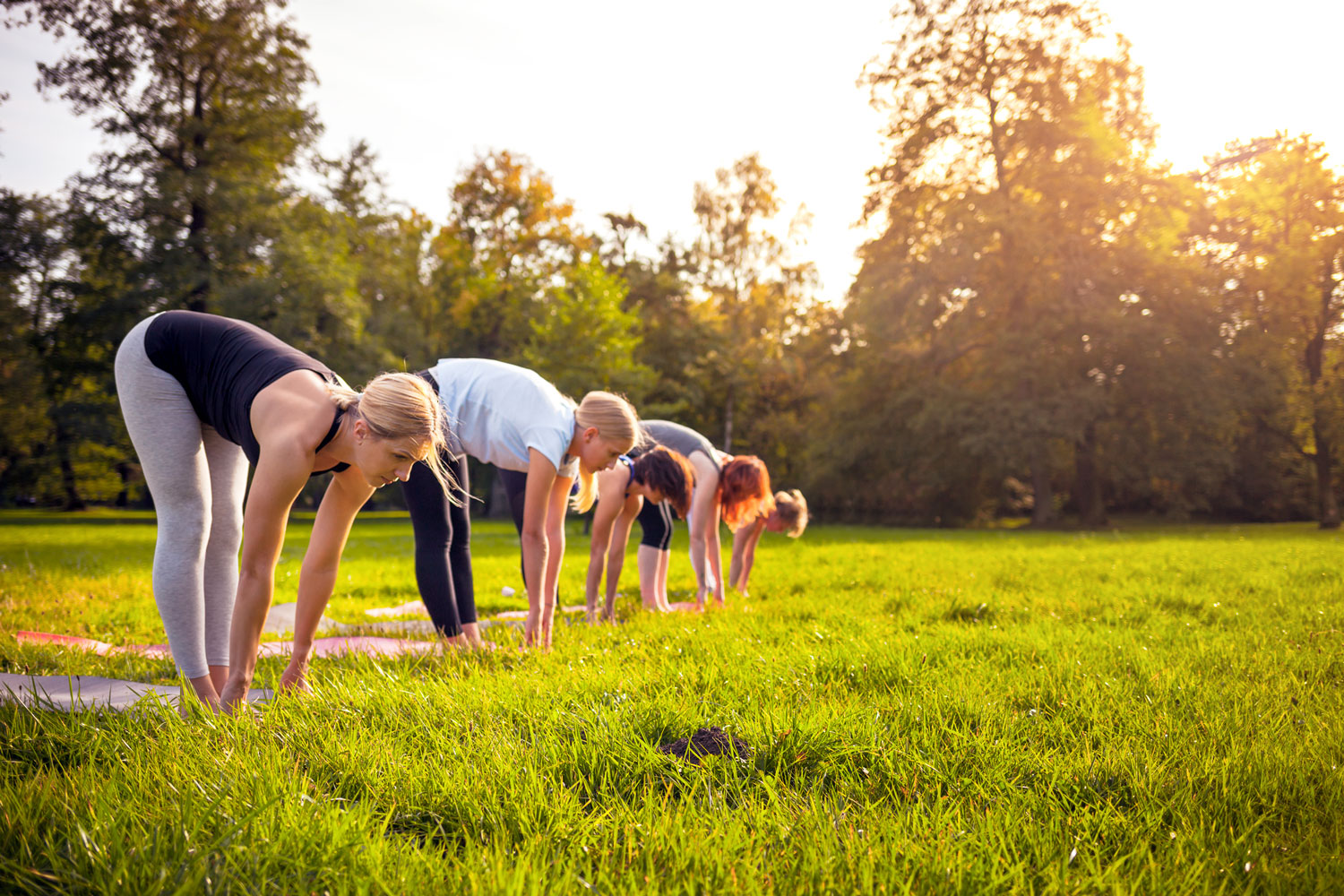 A group of people in a line doing yoga in the grass while the sunsets