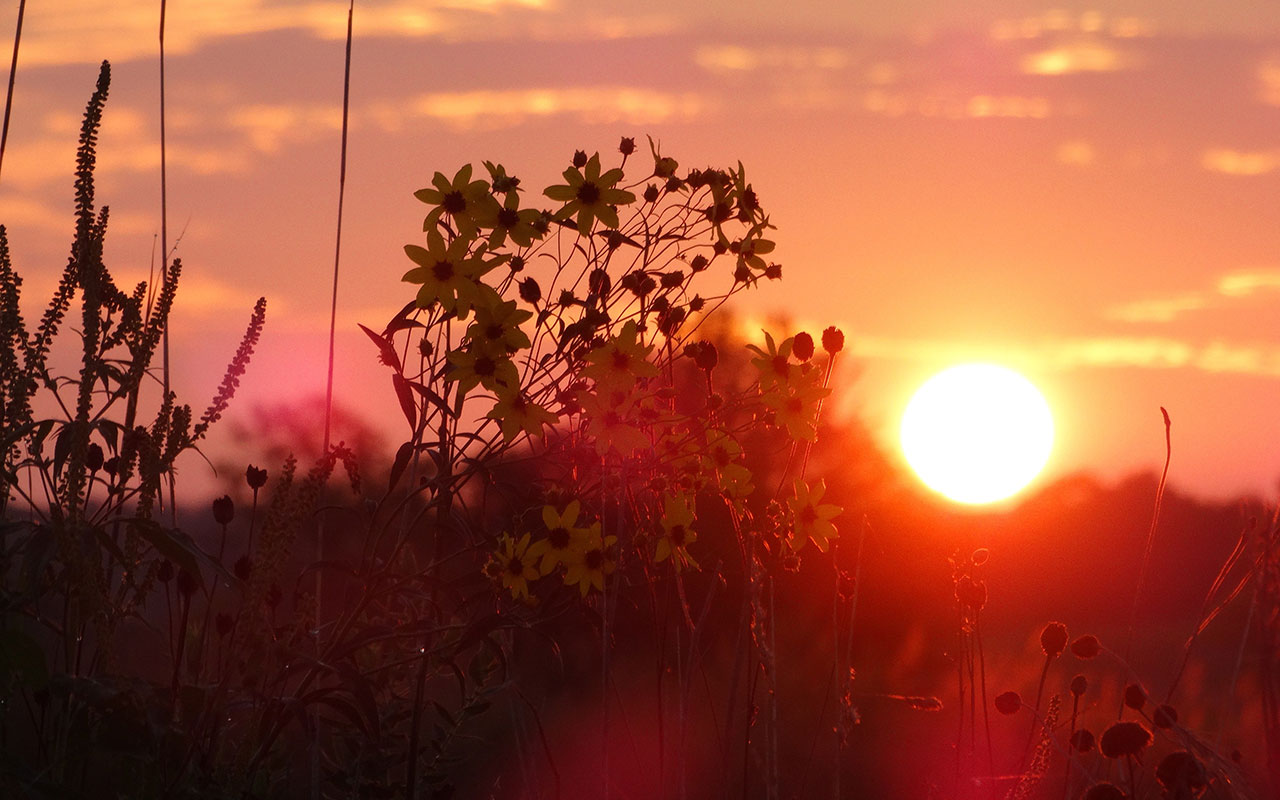 A sunset at Hadley Valley.