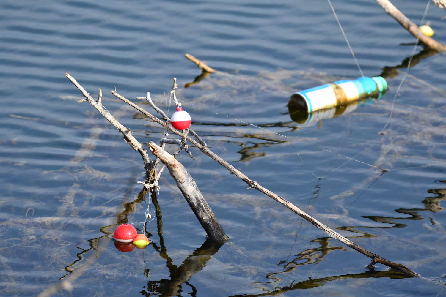 Bobbers and fishing line stuck in branches in the water with a plastic bottle floating behind it. 