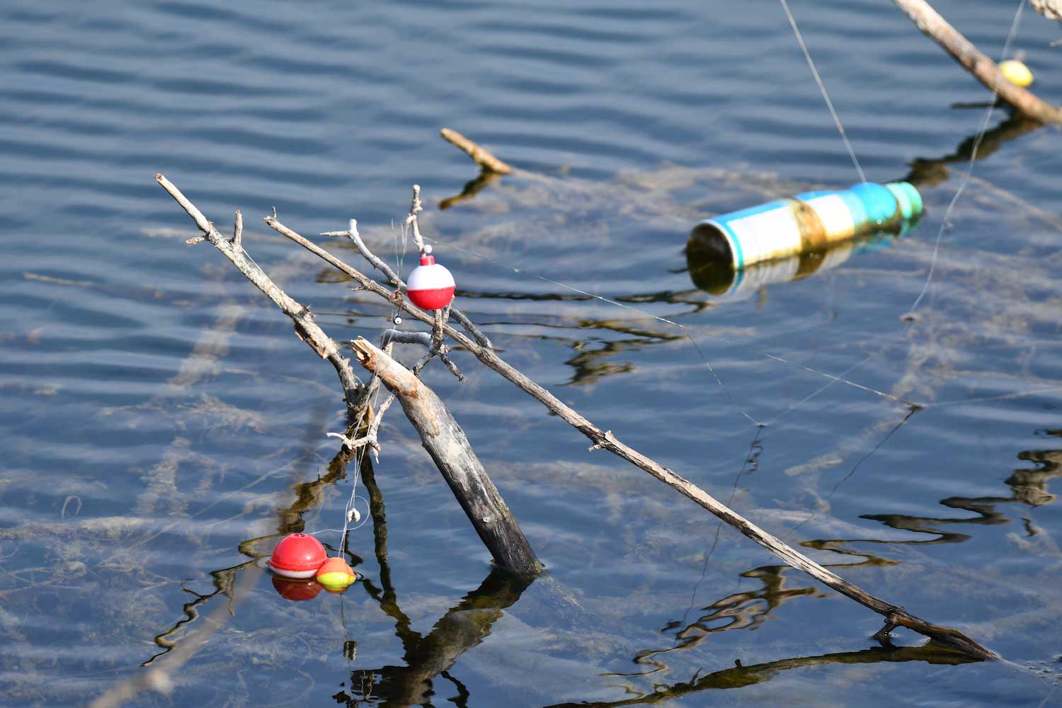 Bobbers and fishing line stuck in branches in the water with a plastic bottle floating behind it.