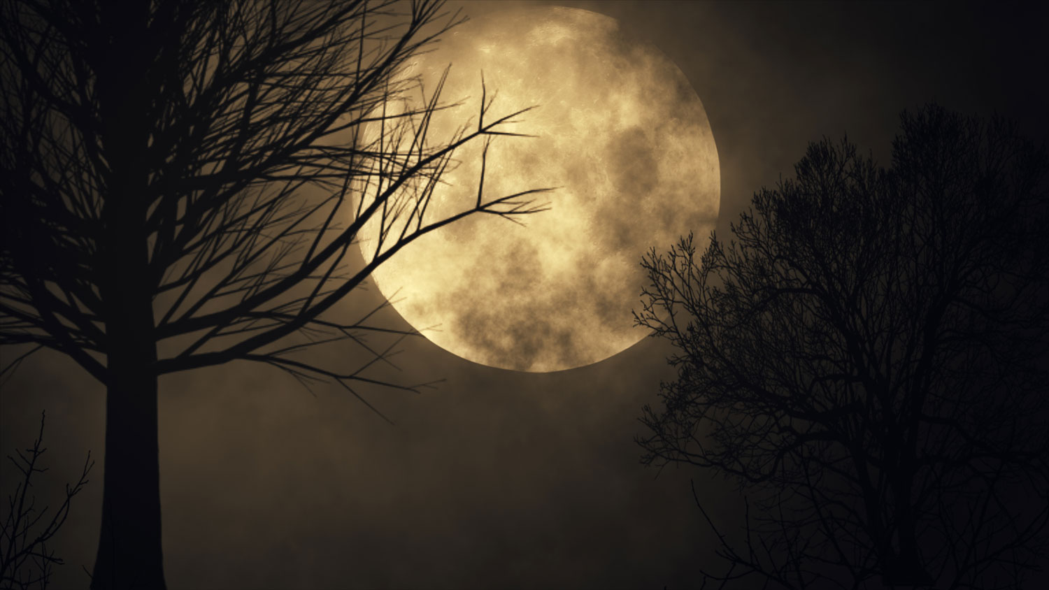 Myth buster: The full moon doesn't really change human behavior | Forest  Preserve District of Will County