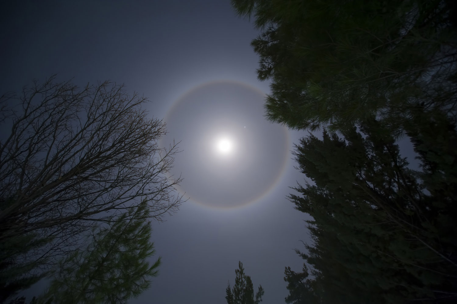 The full moon with a halo around it.