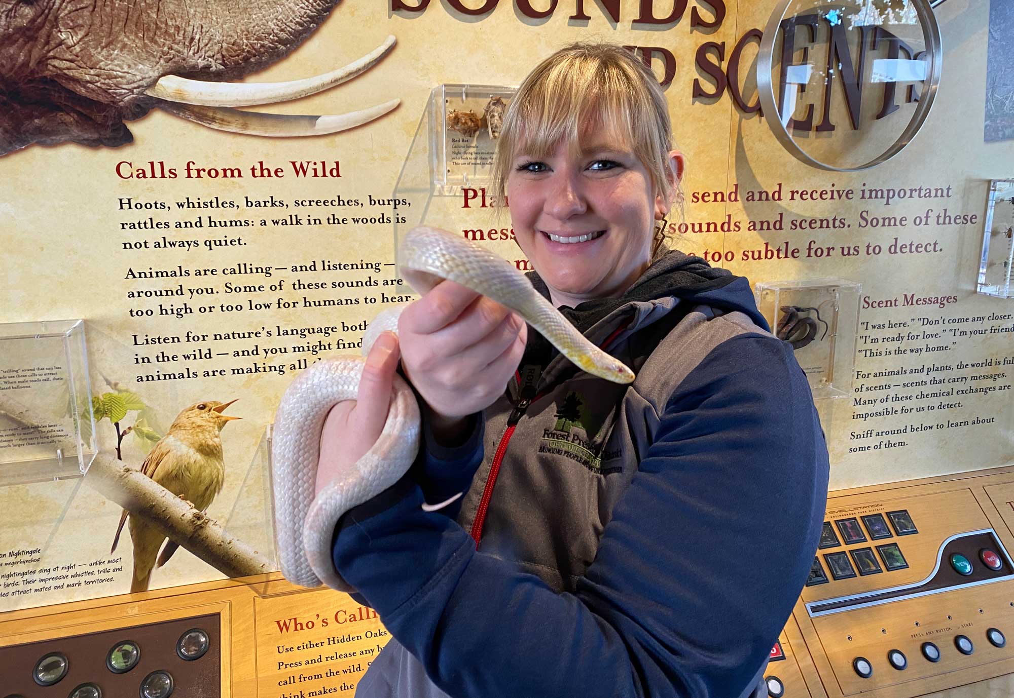 Woman holds a skunk fur and image of a barred owl.