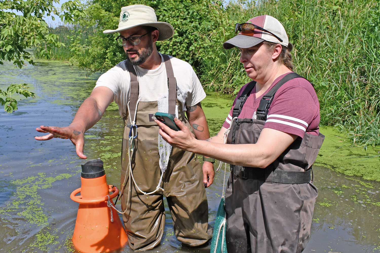 Two people standing in the water observing an area in a creek.