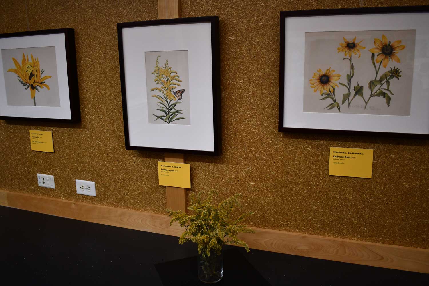 Exhibit photos on display.