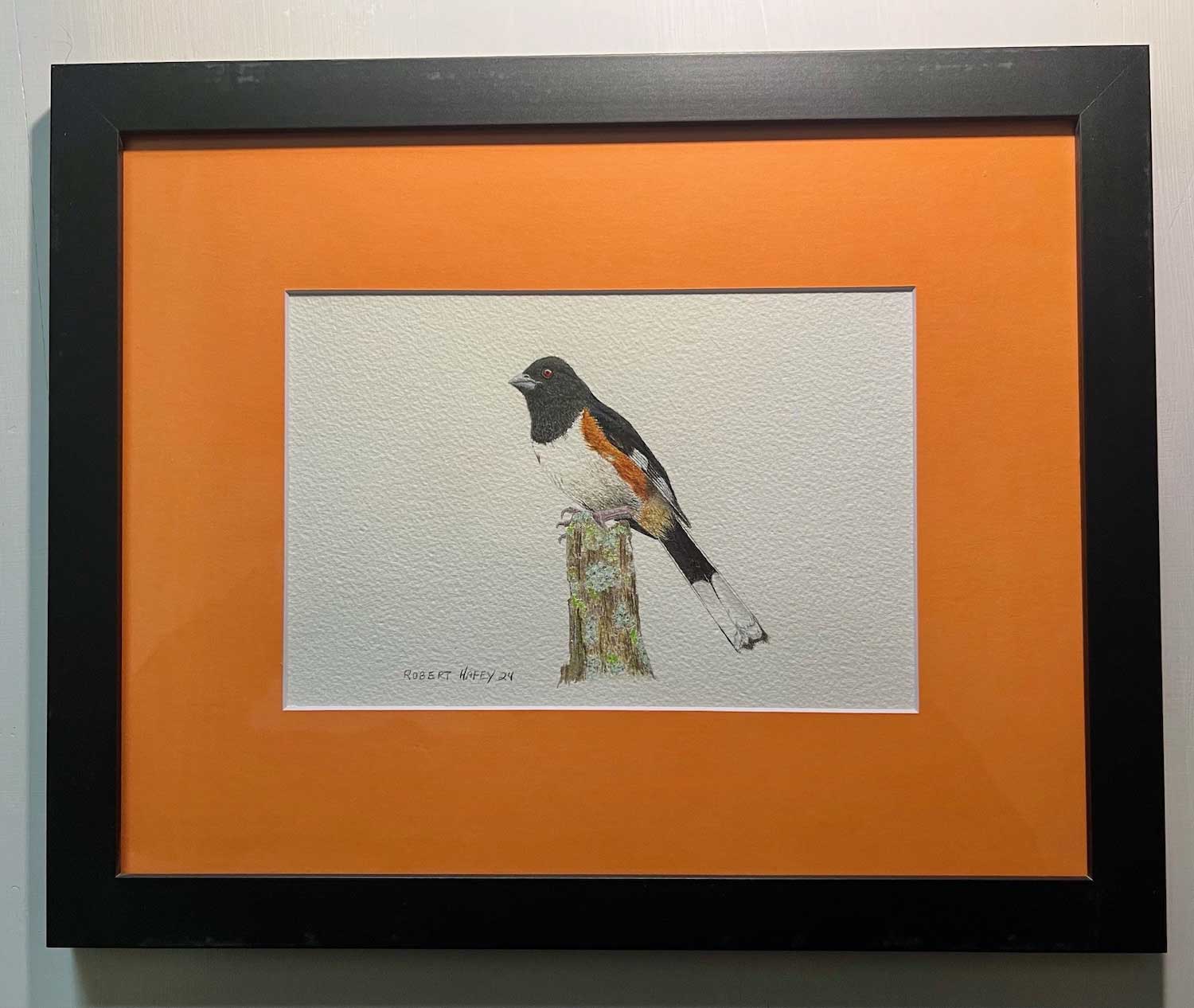 An artist's rendering of an eastern towhee perched on a tree snag.