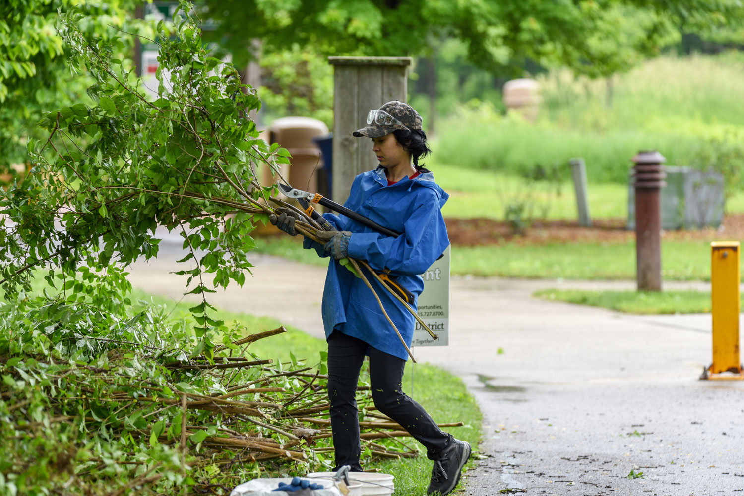 A woman picking up cut branches along a trail.