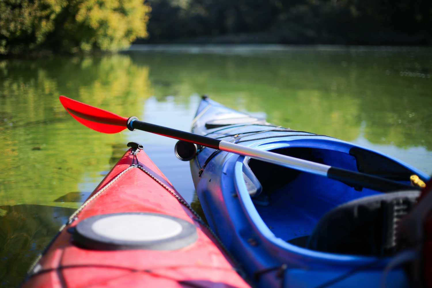 The tips of a red kayak and a blue kayak on the water.