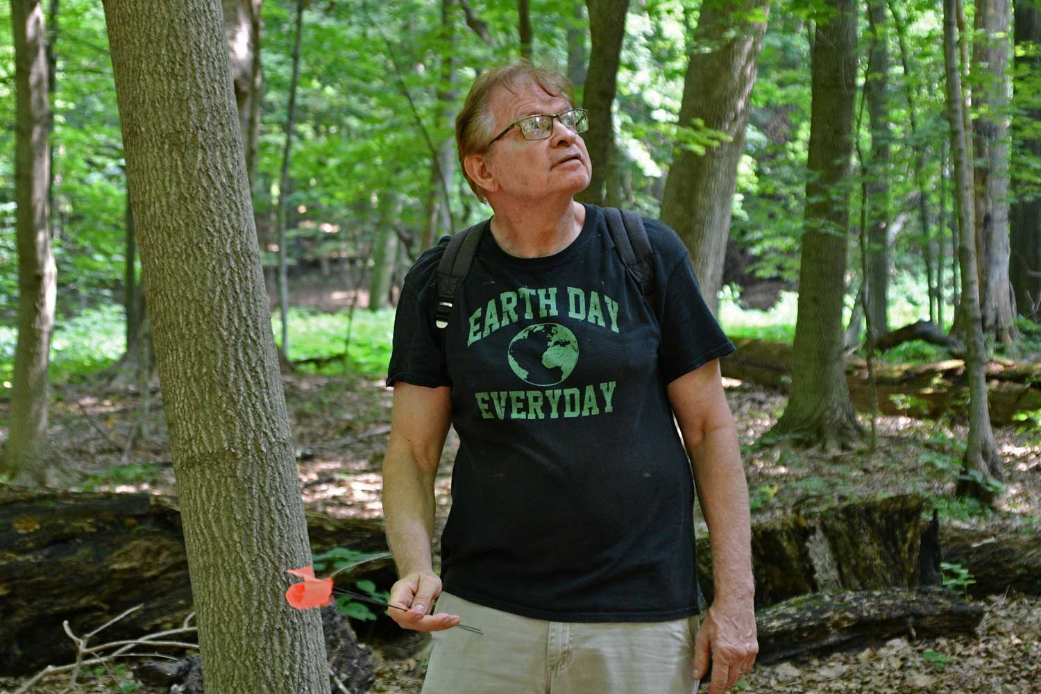 Dave Shepard looking for desired trees.