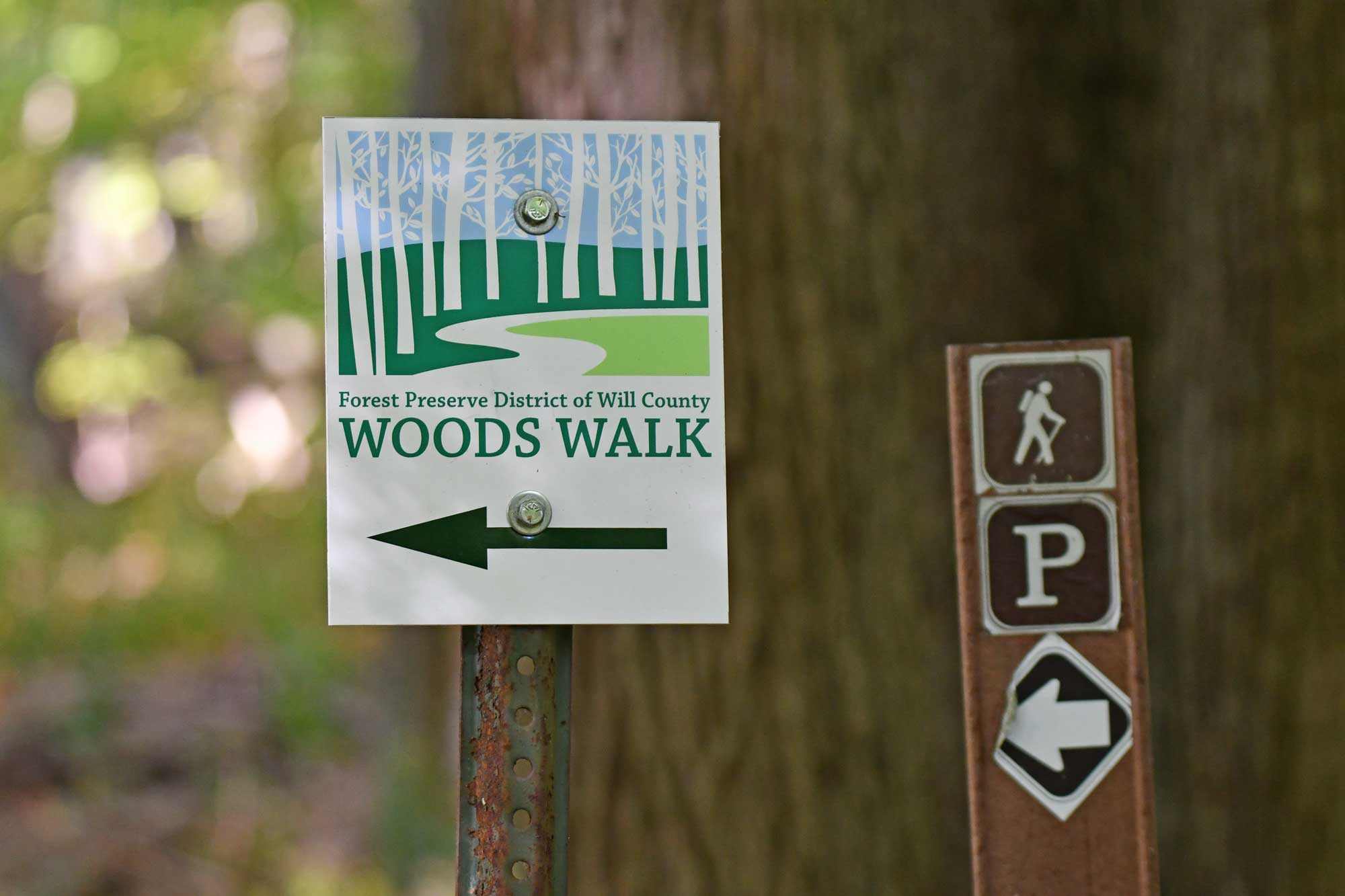 A Woods Walk sign in the forest.