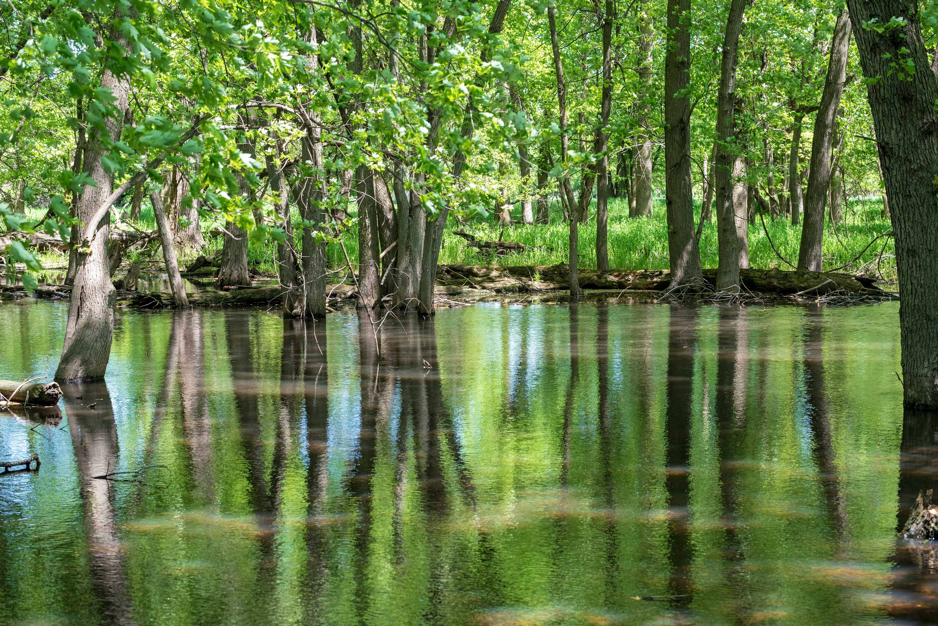 Scenic view of water at Isle a la Cache.