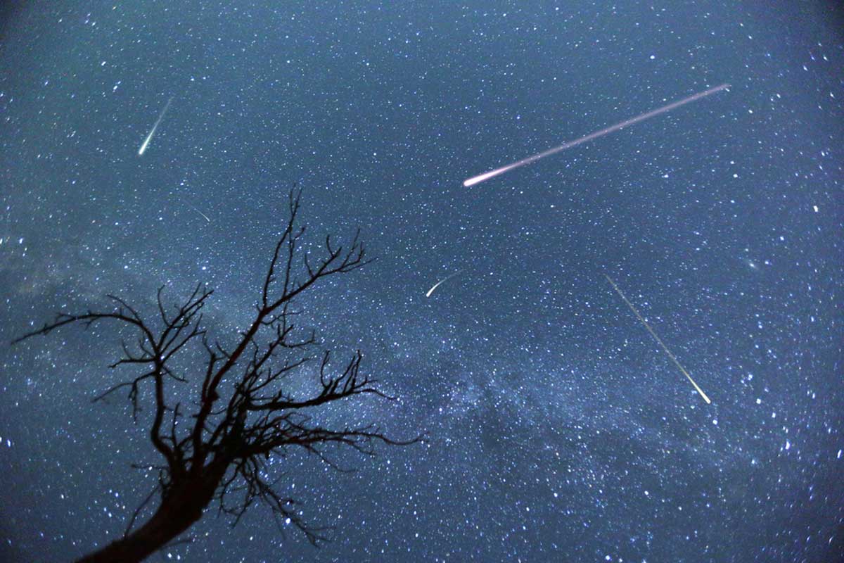 A meteor streaking across the night sky with a bare tree in the foreground.