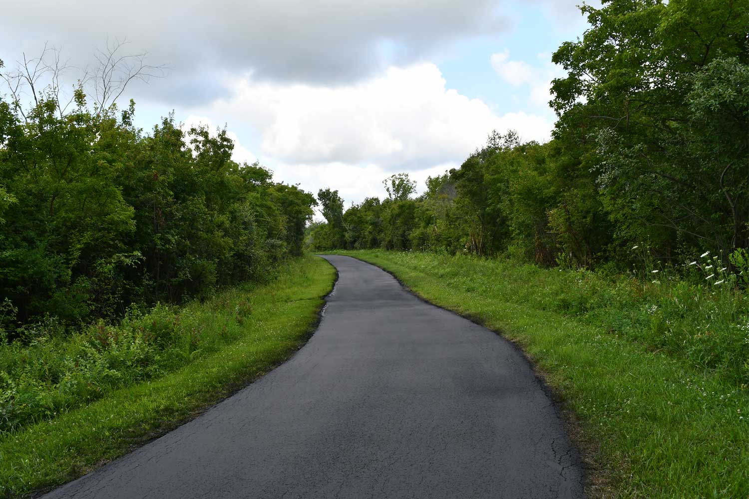 Paved trail lined with grasses and trees.