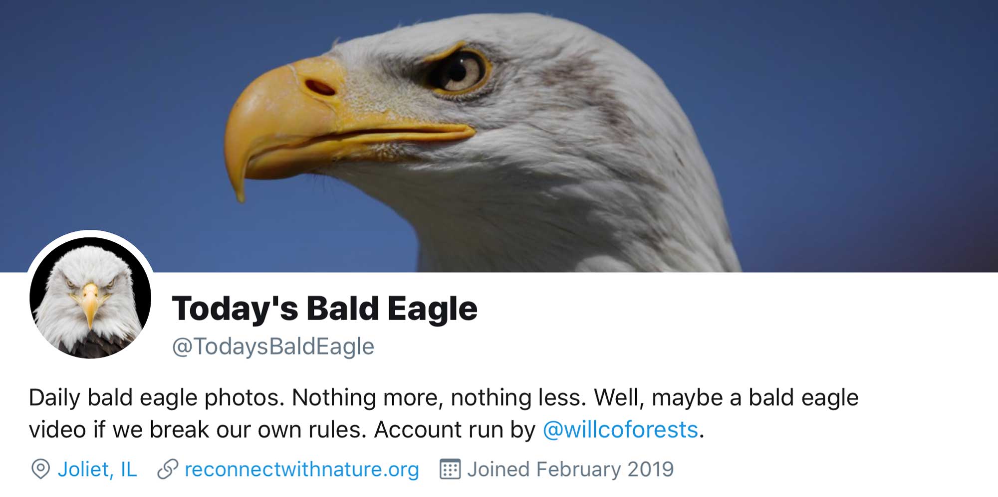 Twitter Twitter