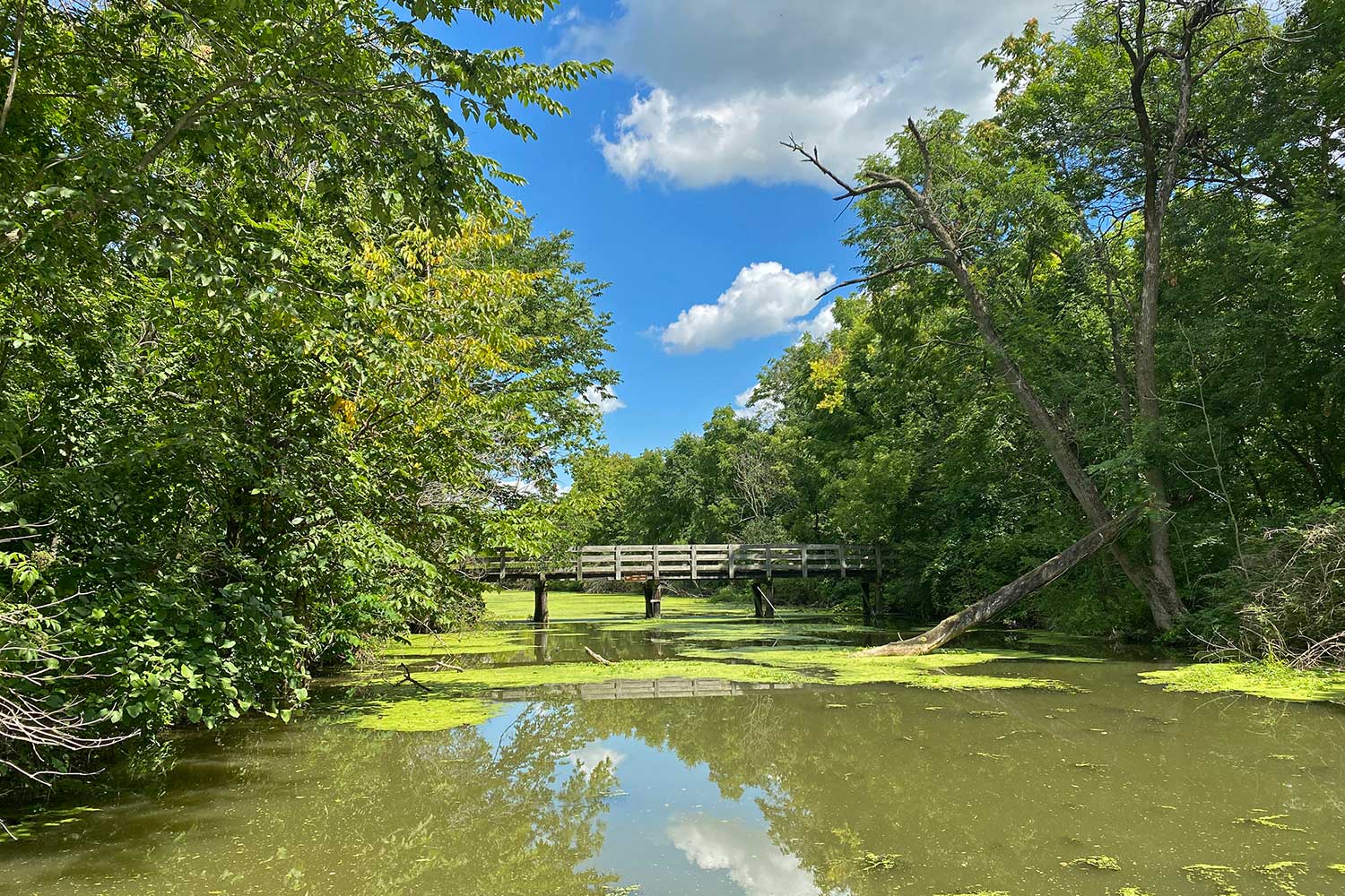 A wooden bridge spanning a canal lined by trees with a bright blue sky dotted with a few puffy, white clouds.