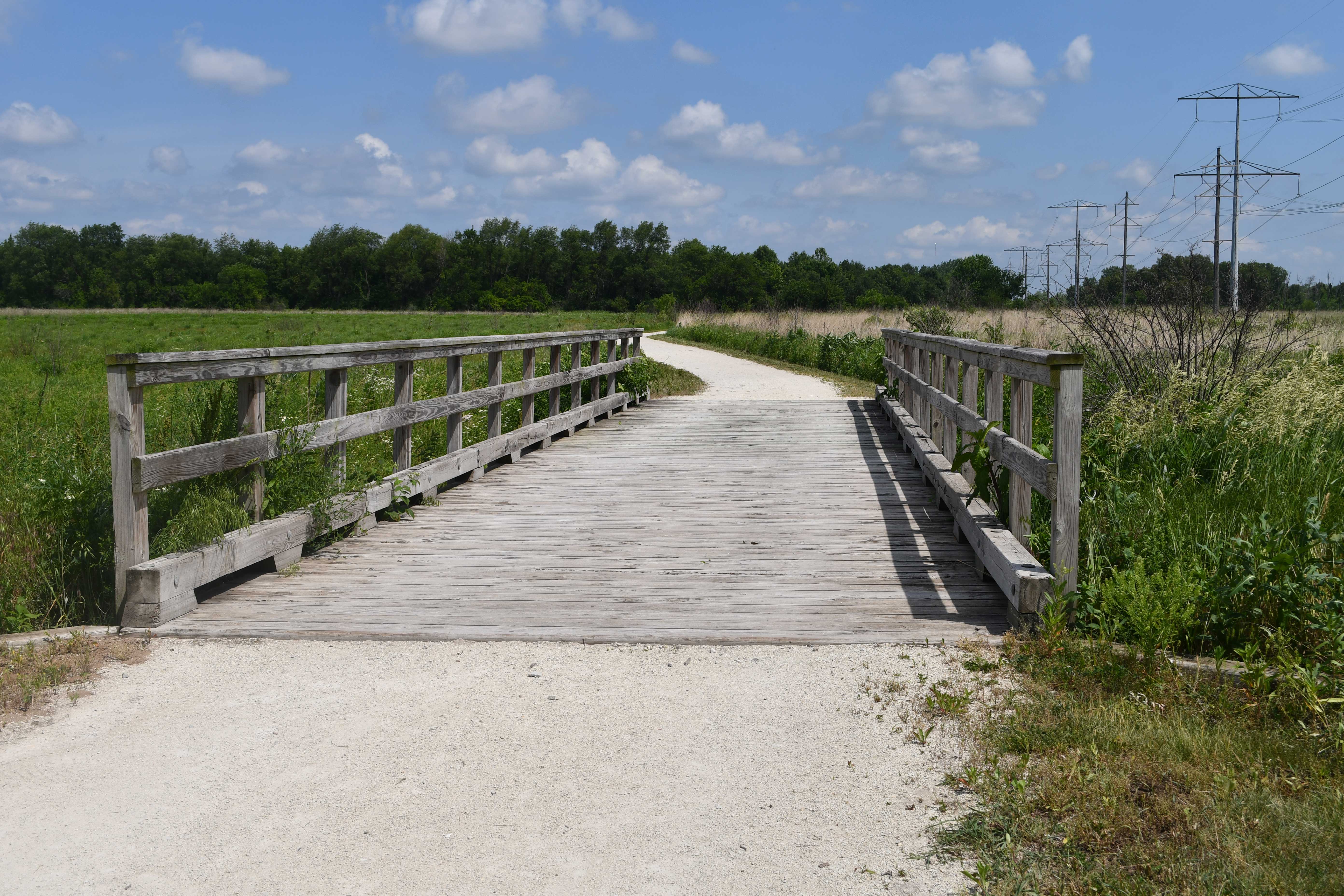 A limestone trail cuts through a sunlit prairie filled with wildflowers and green foliage.