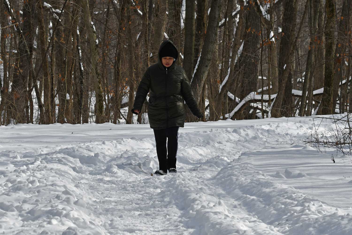 Person walking a snow covered trail at Hammel Woods.