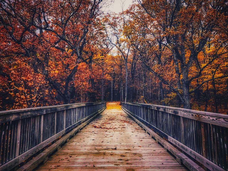 The big bridge at Goodenow Grove in the fall