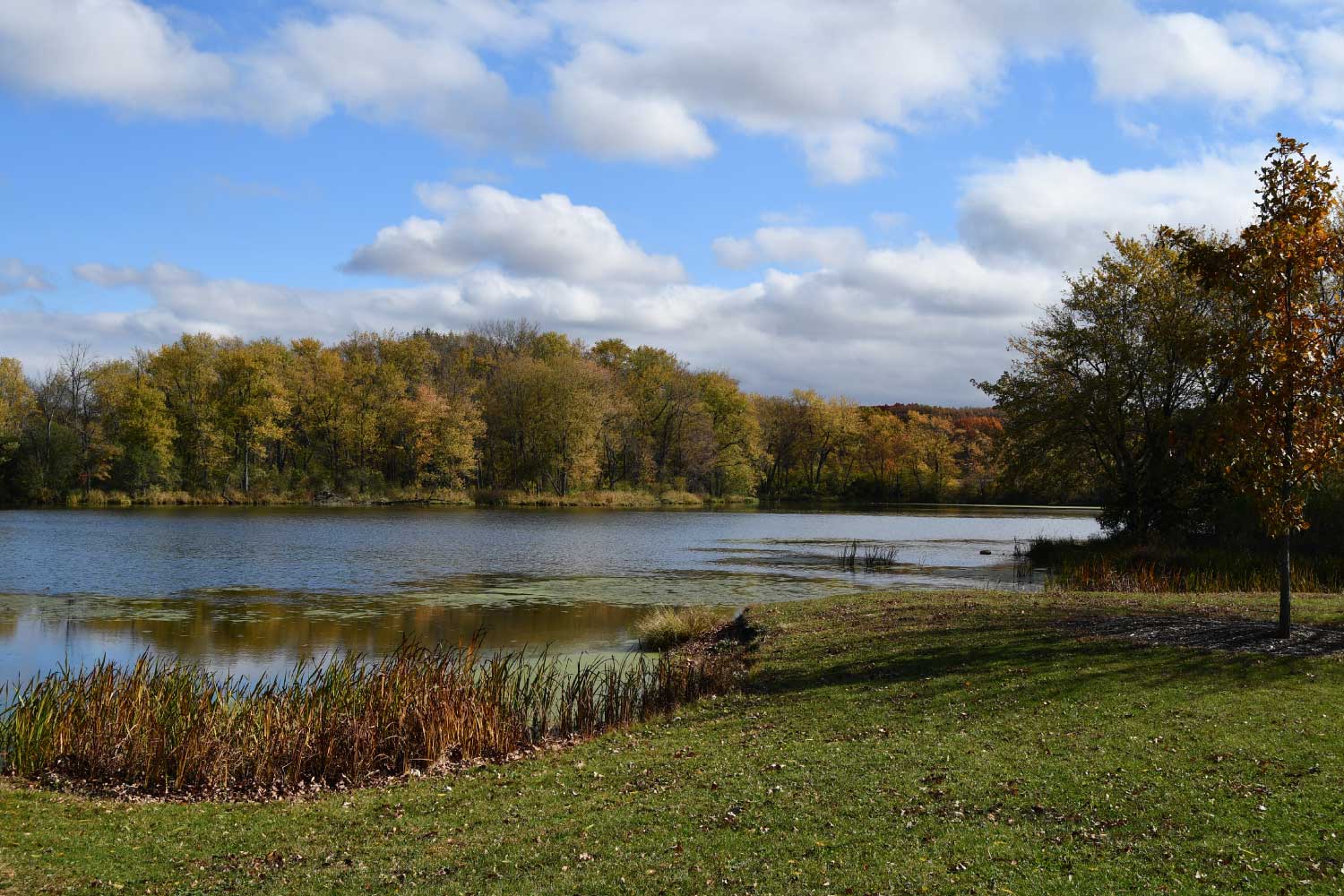 A water view with autumn trees in the background.