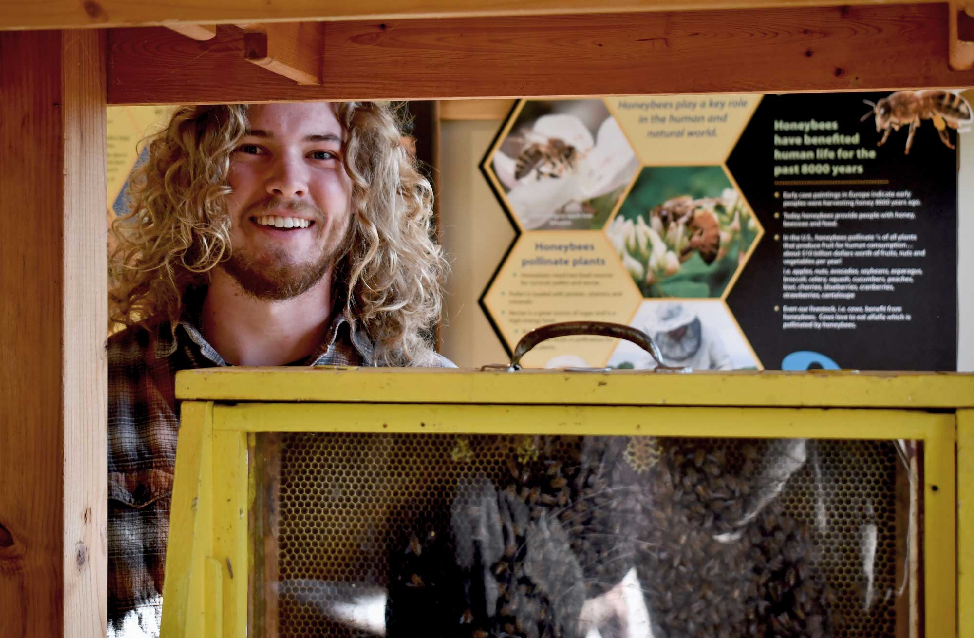 A man stands by a bee display.