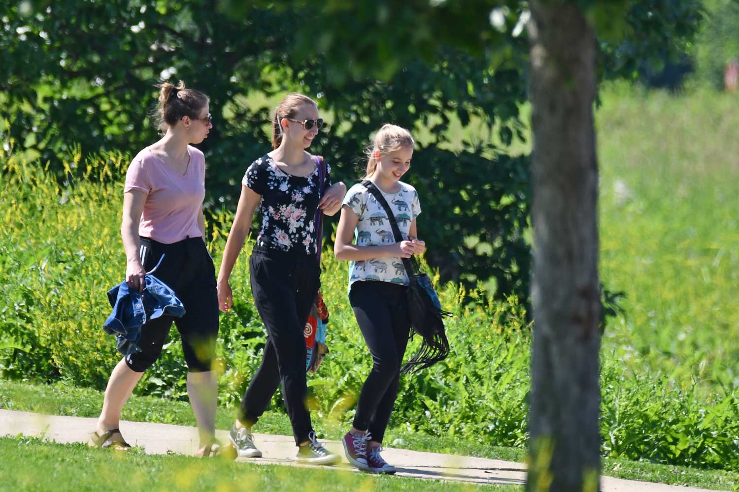 People walking on a paved trail with grasses and vegetation in the background.