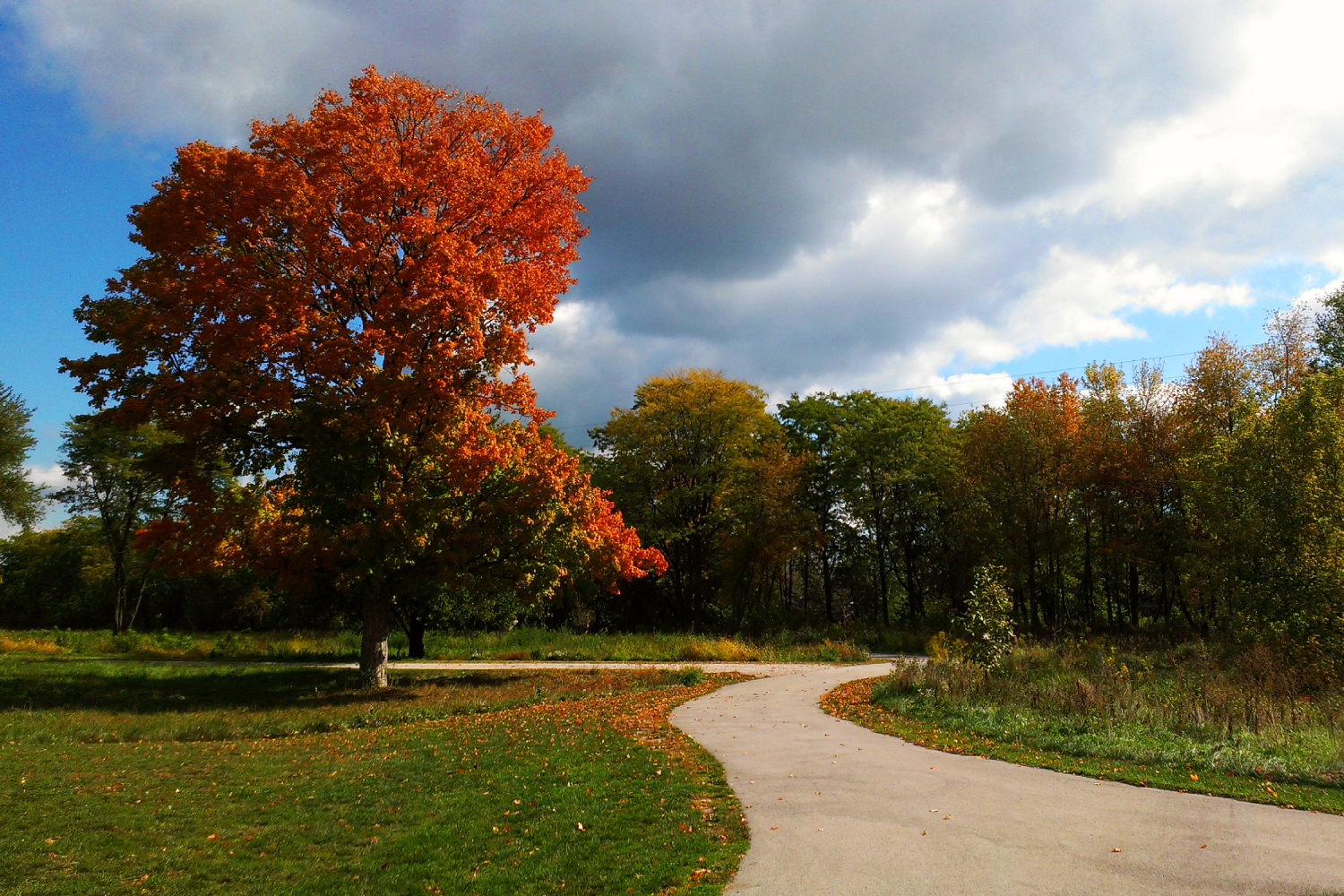 Autumn scenery along the trail at Riverview Farmstead Preserve.