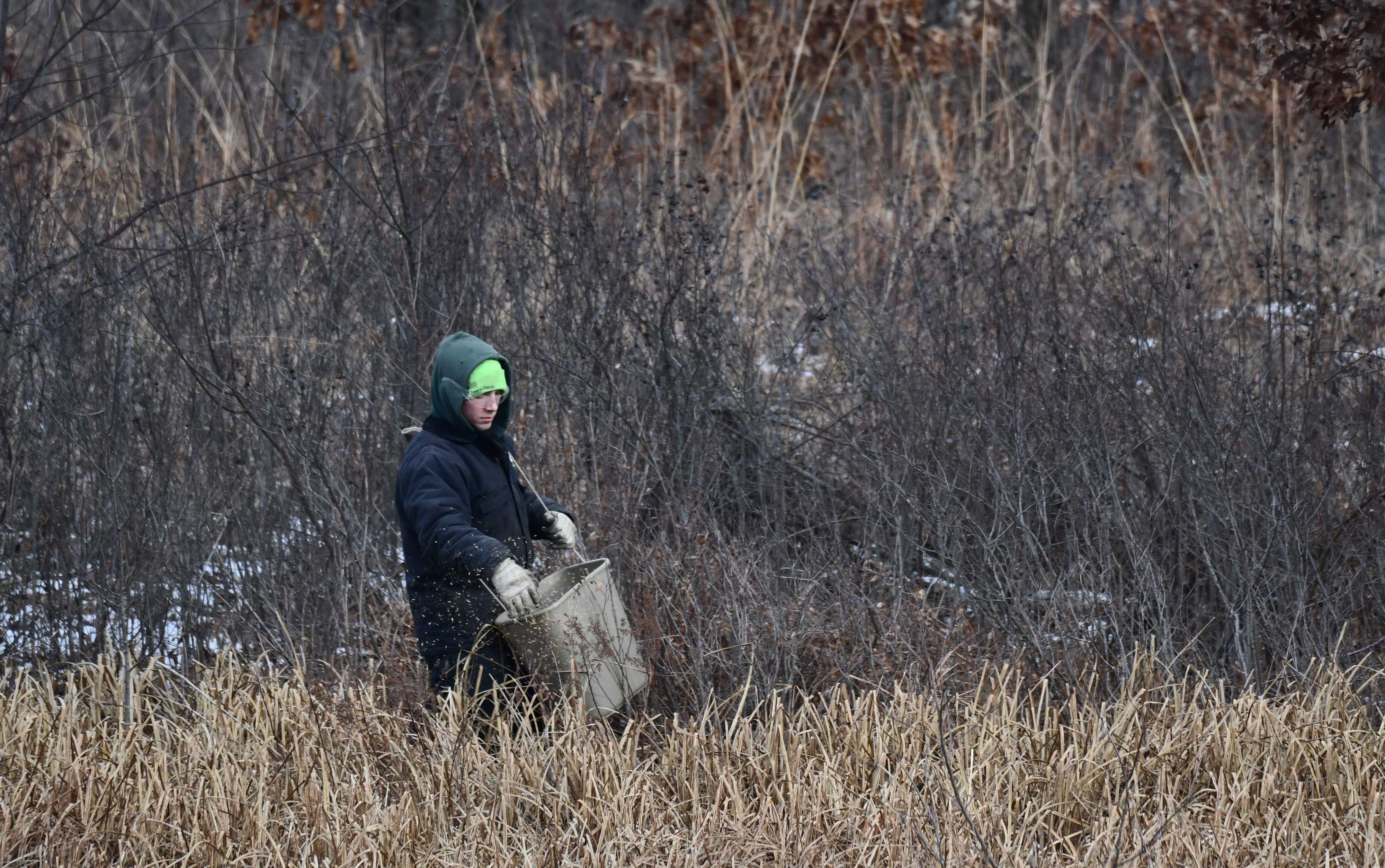 Forest Preserve staff spreading seeds.