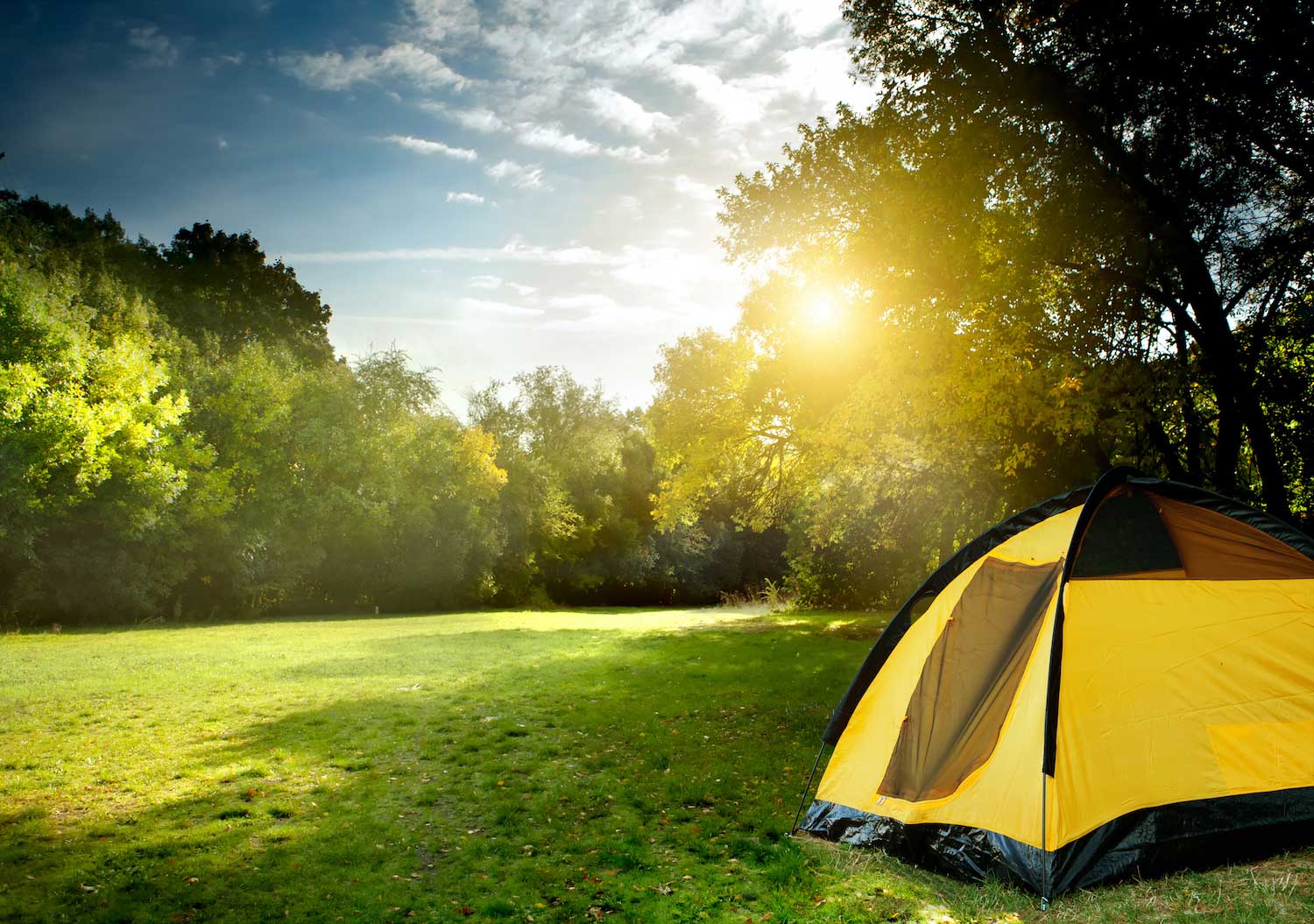 A tent pitched in the grass surrounded by trees with the sun shining overhead.