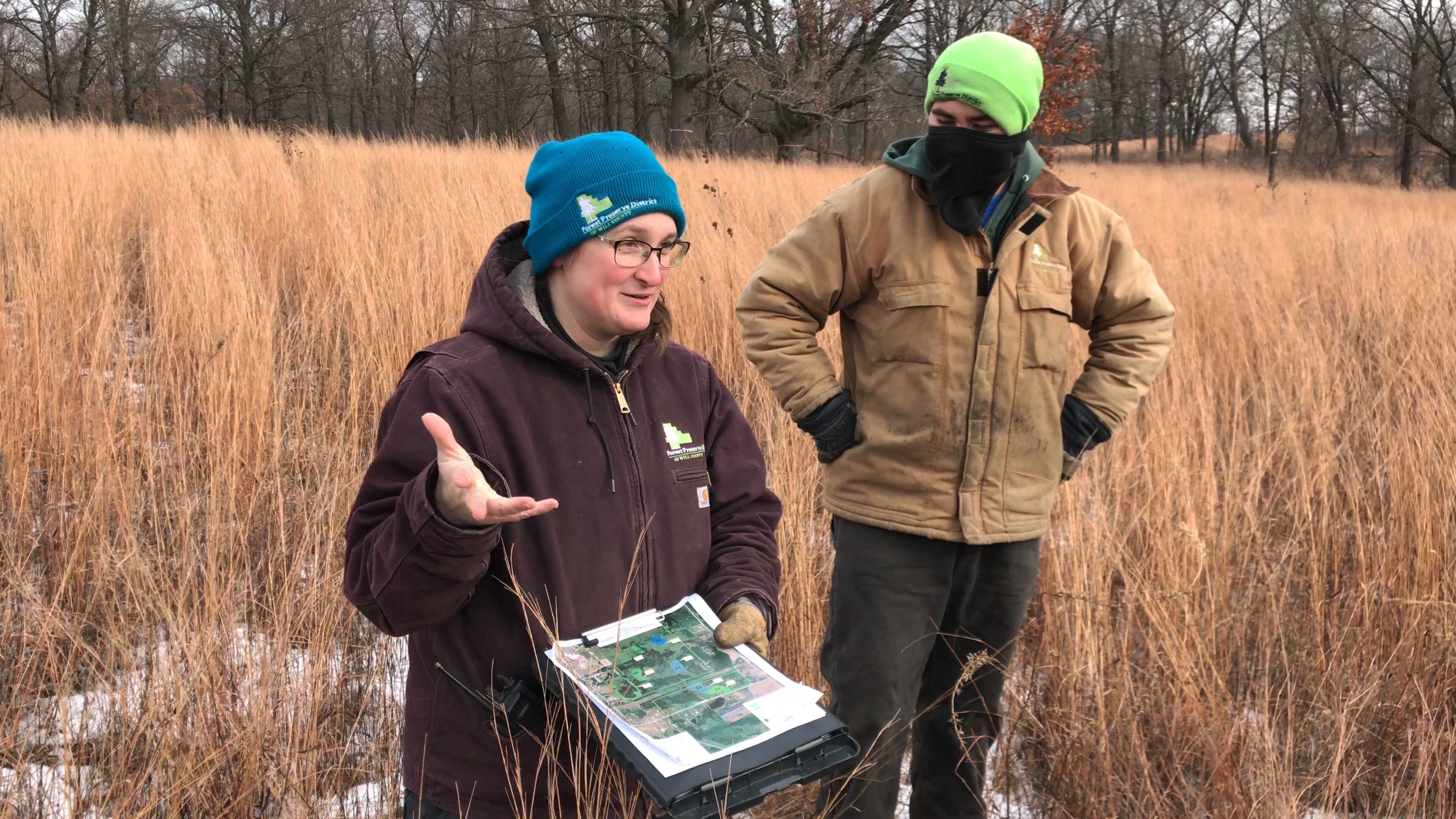 Allison Borecky, the Forest Preserve's natural resource management crew leader