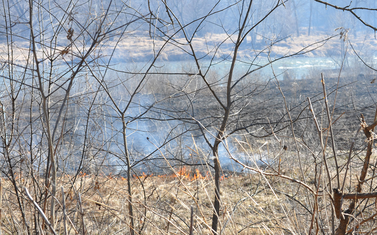 A view of a controlled burn in a field.