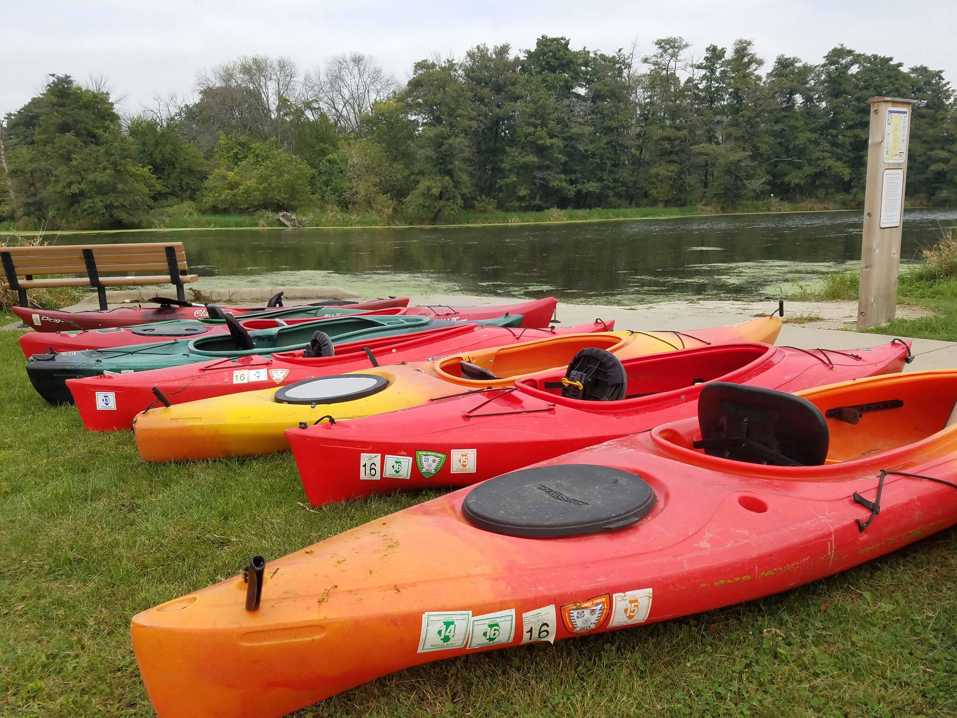 Red orange kayaks lined up near the water's edge.