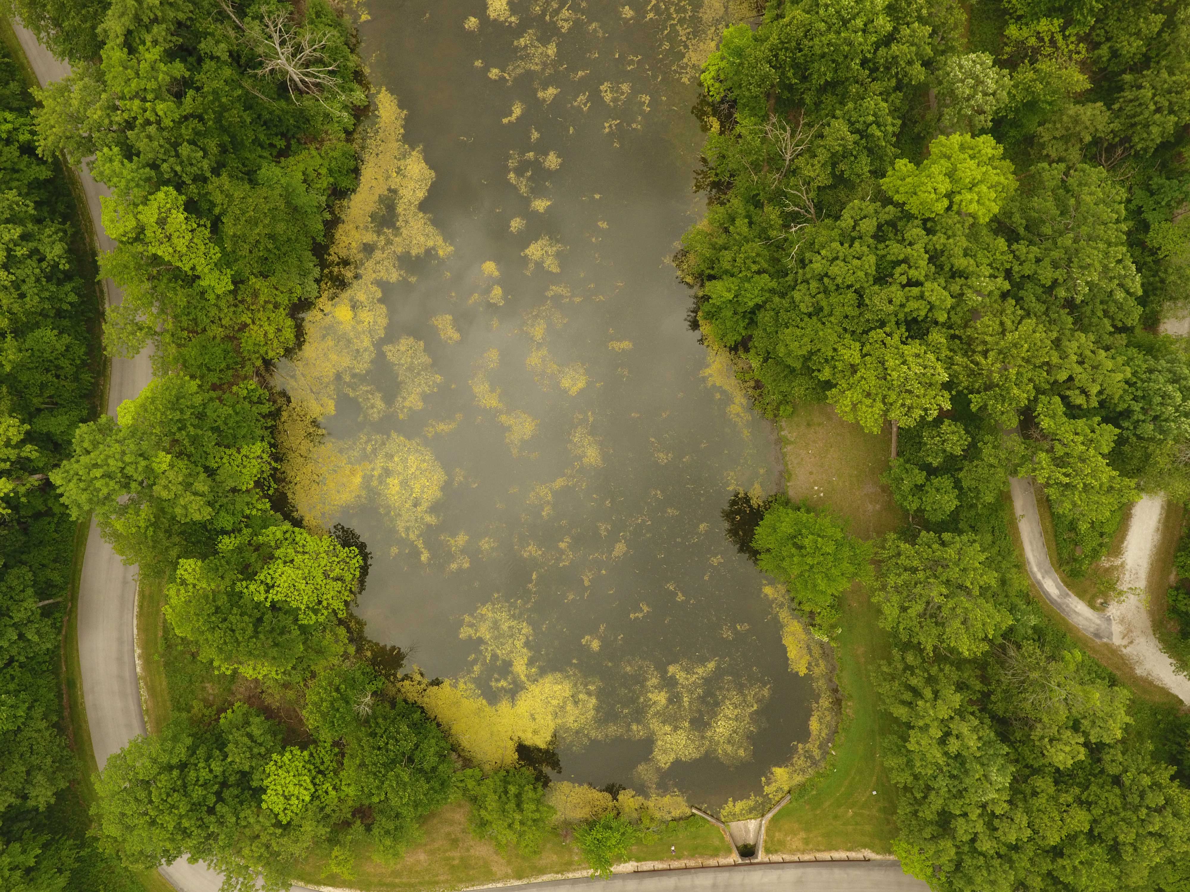 Aerial view of Snapper Pond.