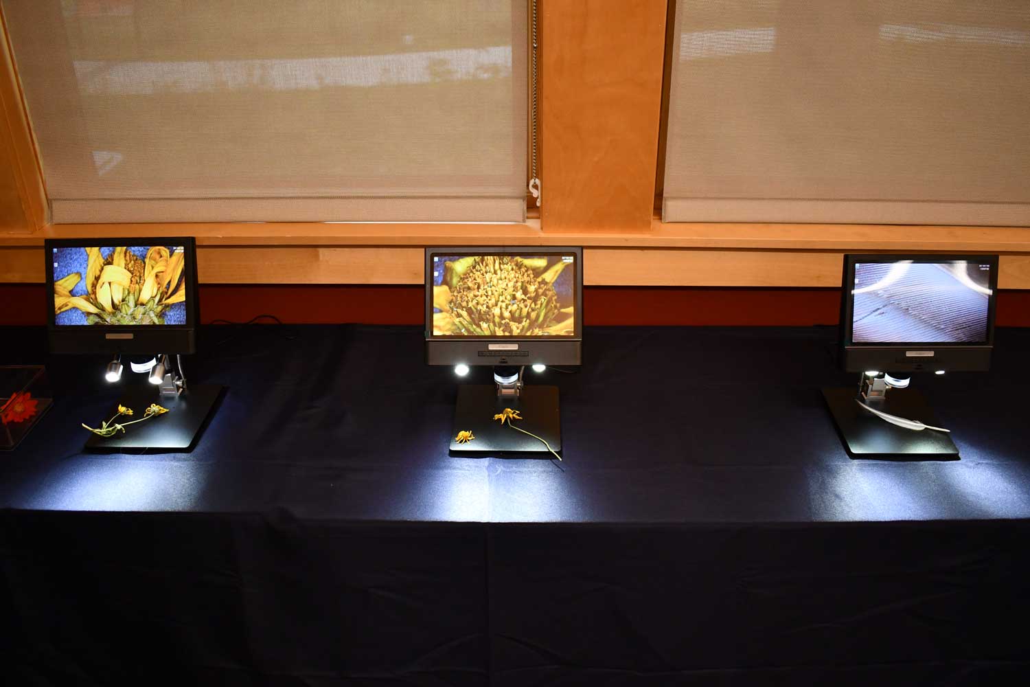 Microscopes for viewing various nature items.