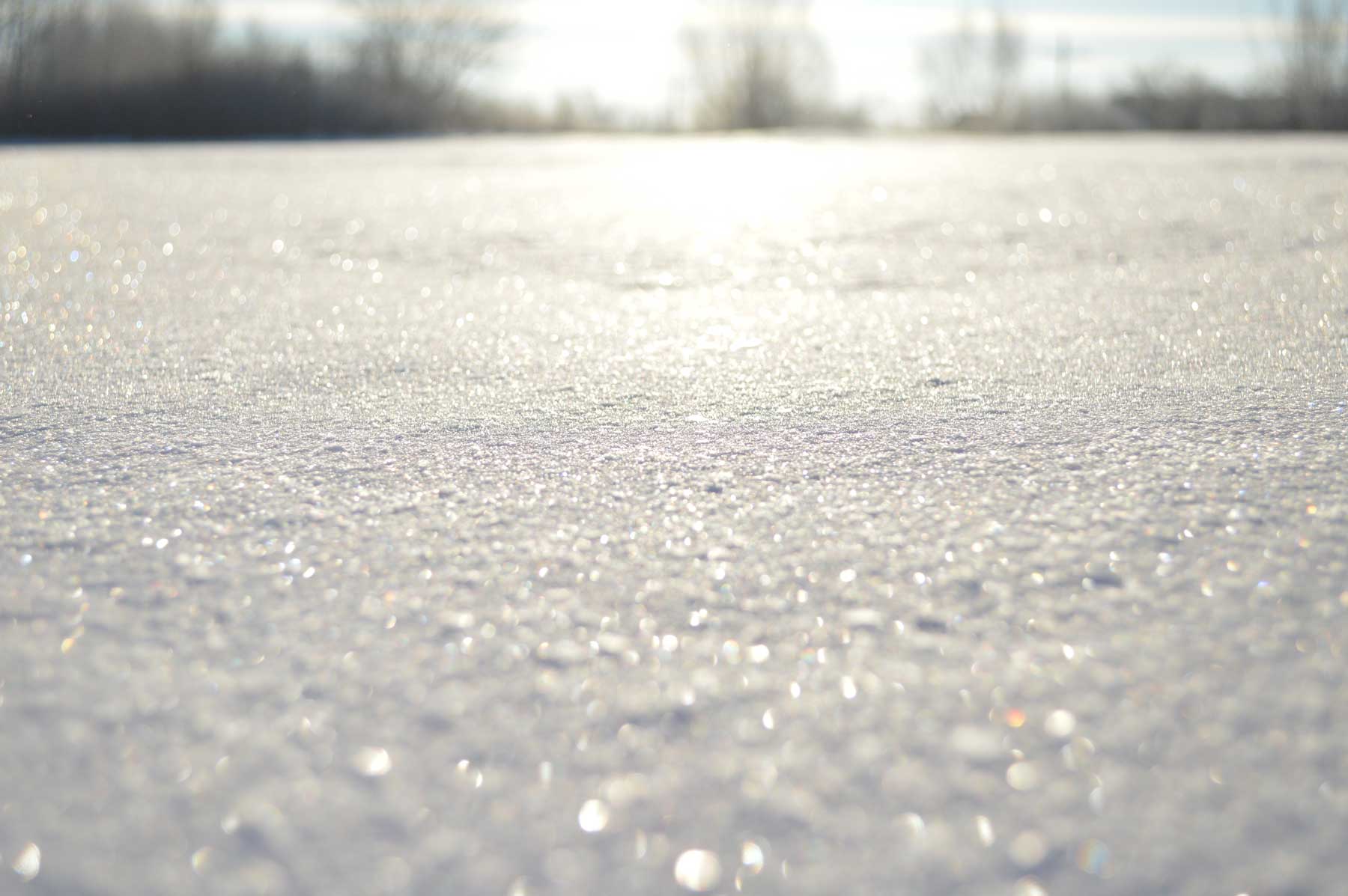 Sparkling snow on the ground.