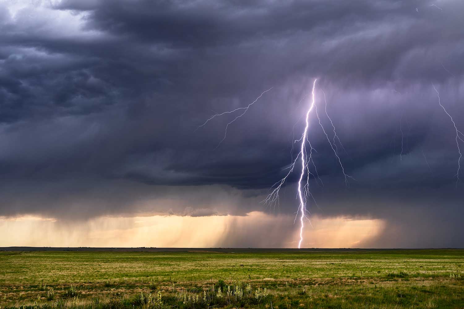 A thunderstorm over an open field with lightning striking the ground. 