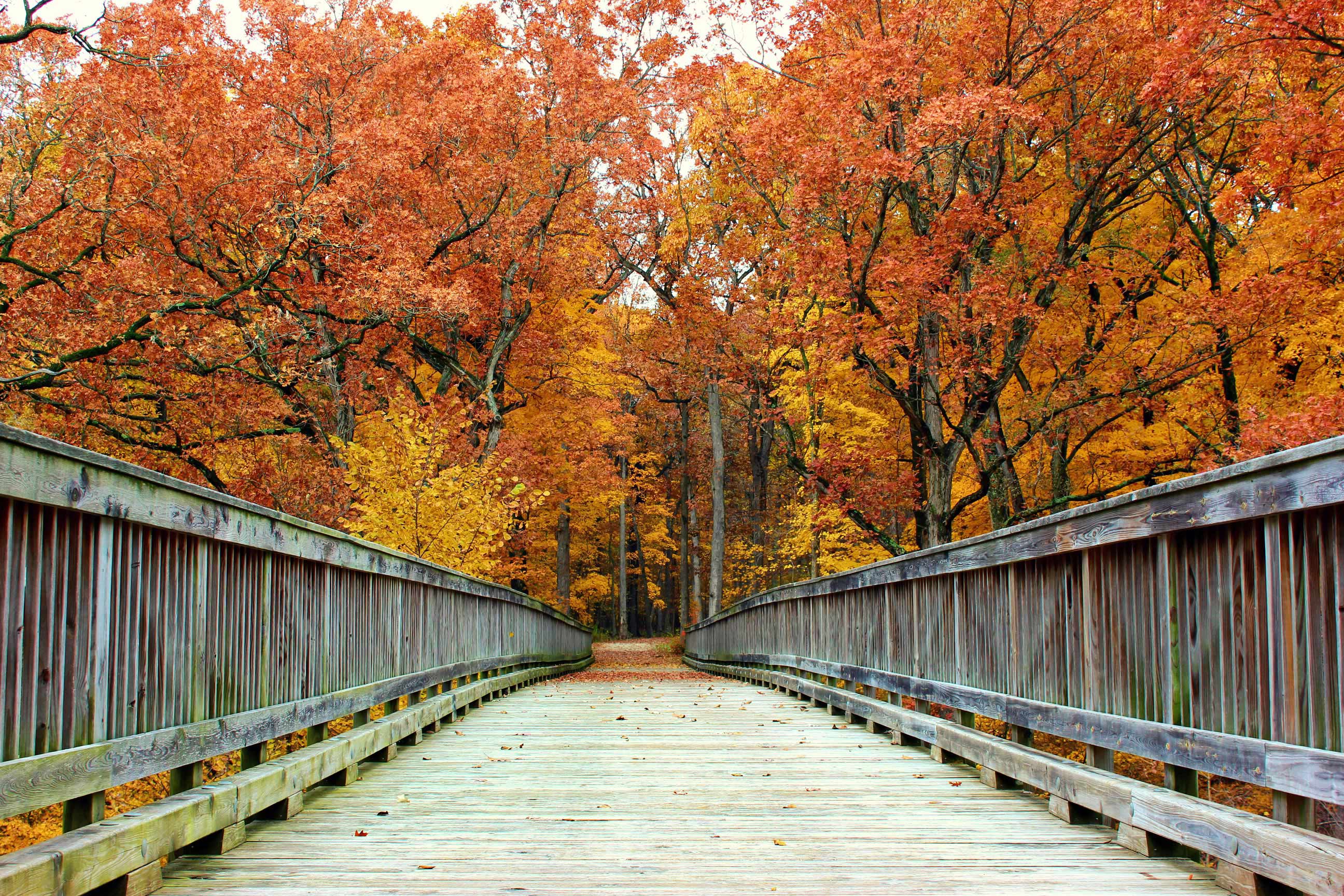 The big bridge along the Plum Creek Greenway Trail during autumn.