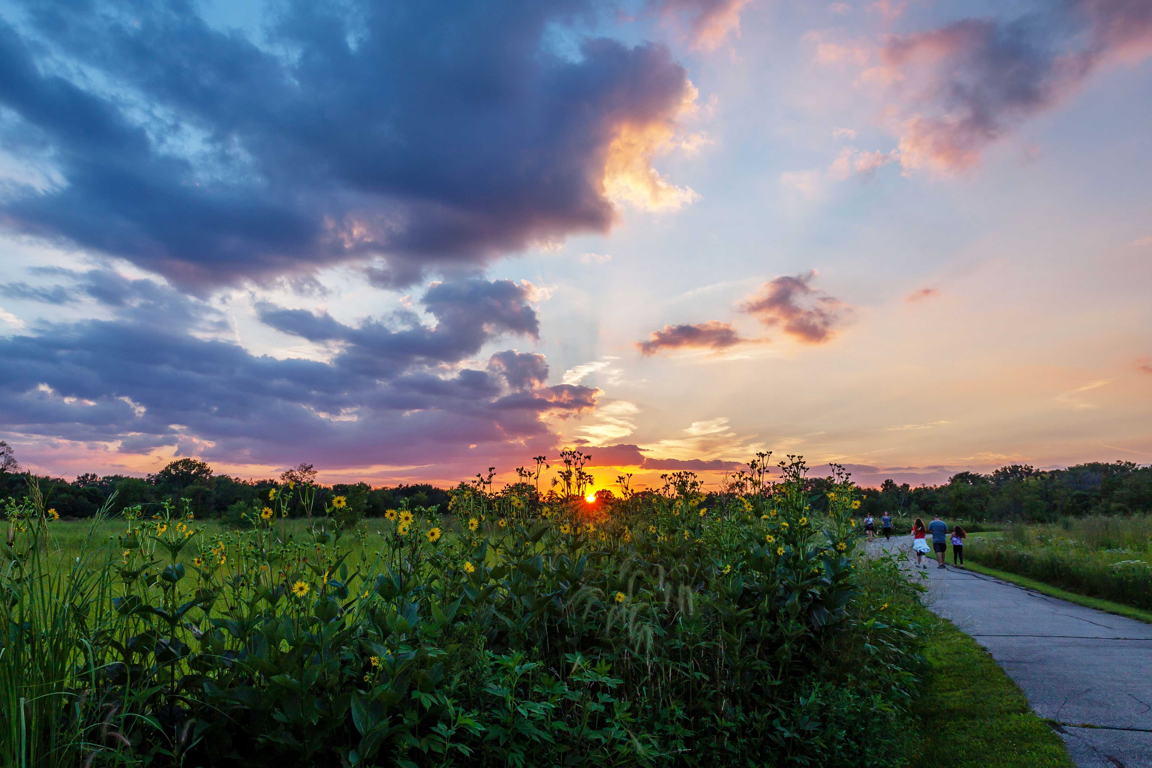 The Hickory Creek Bikeway trail at sunset.