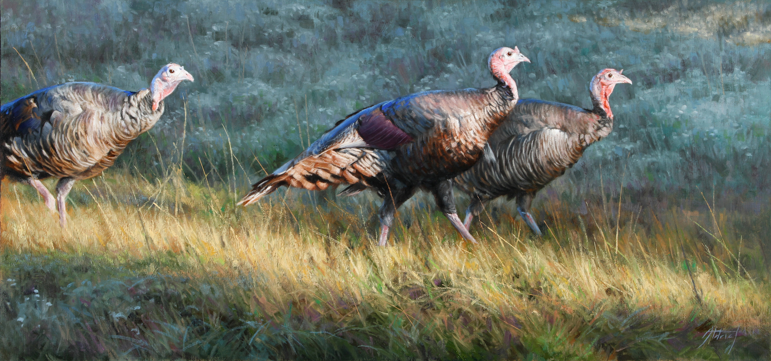 A painting of wild turkeys in a grassy field.