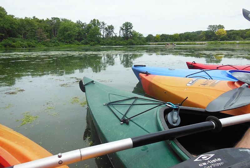 A group of kayaks sitting in the water.