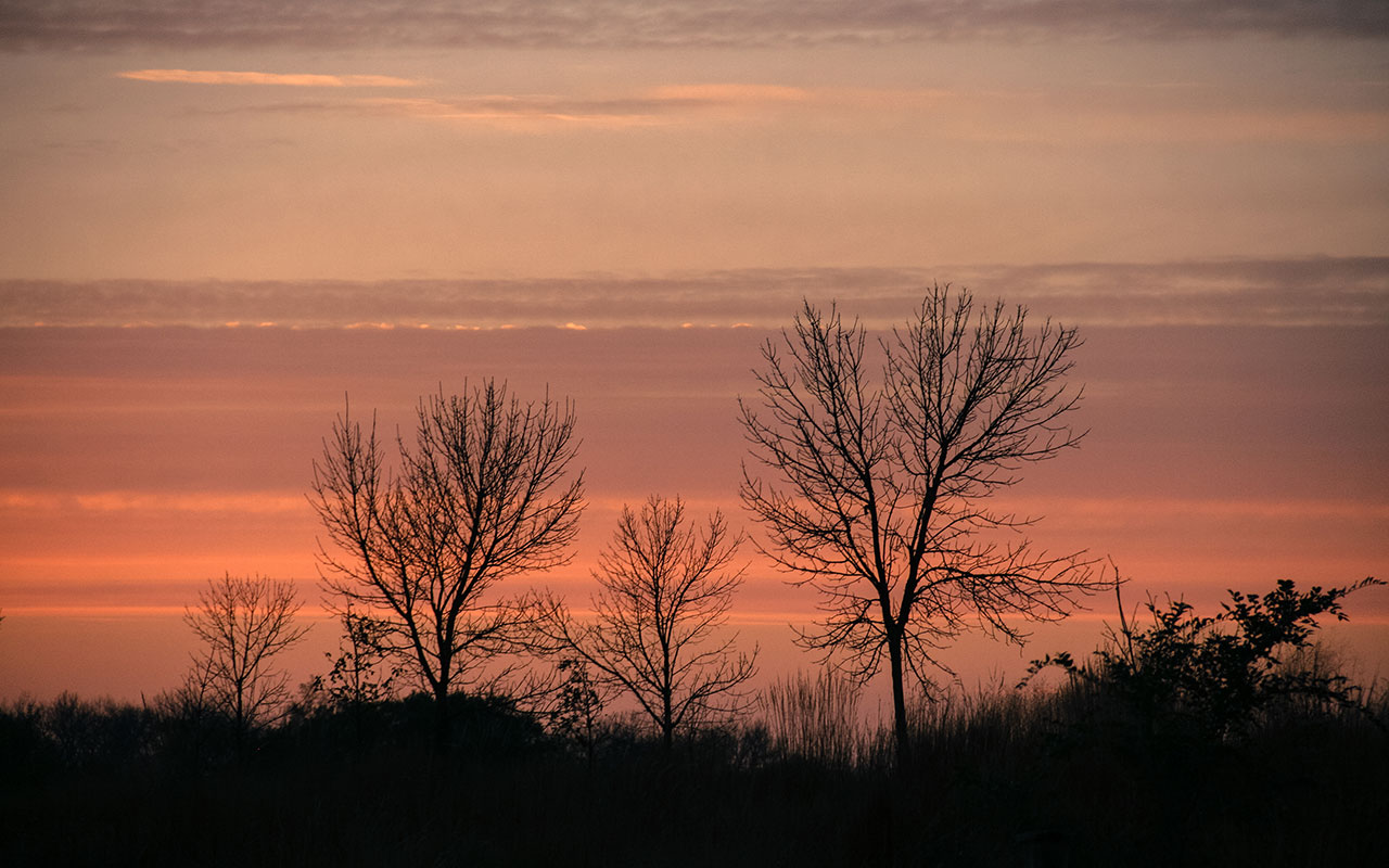 A sunset at Lake Renwick Preserve.