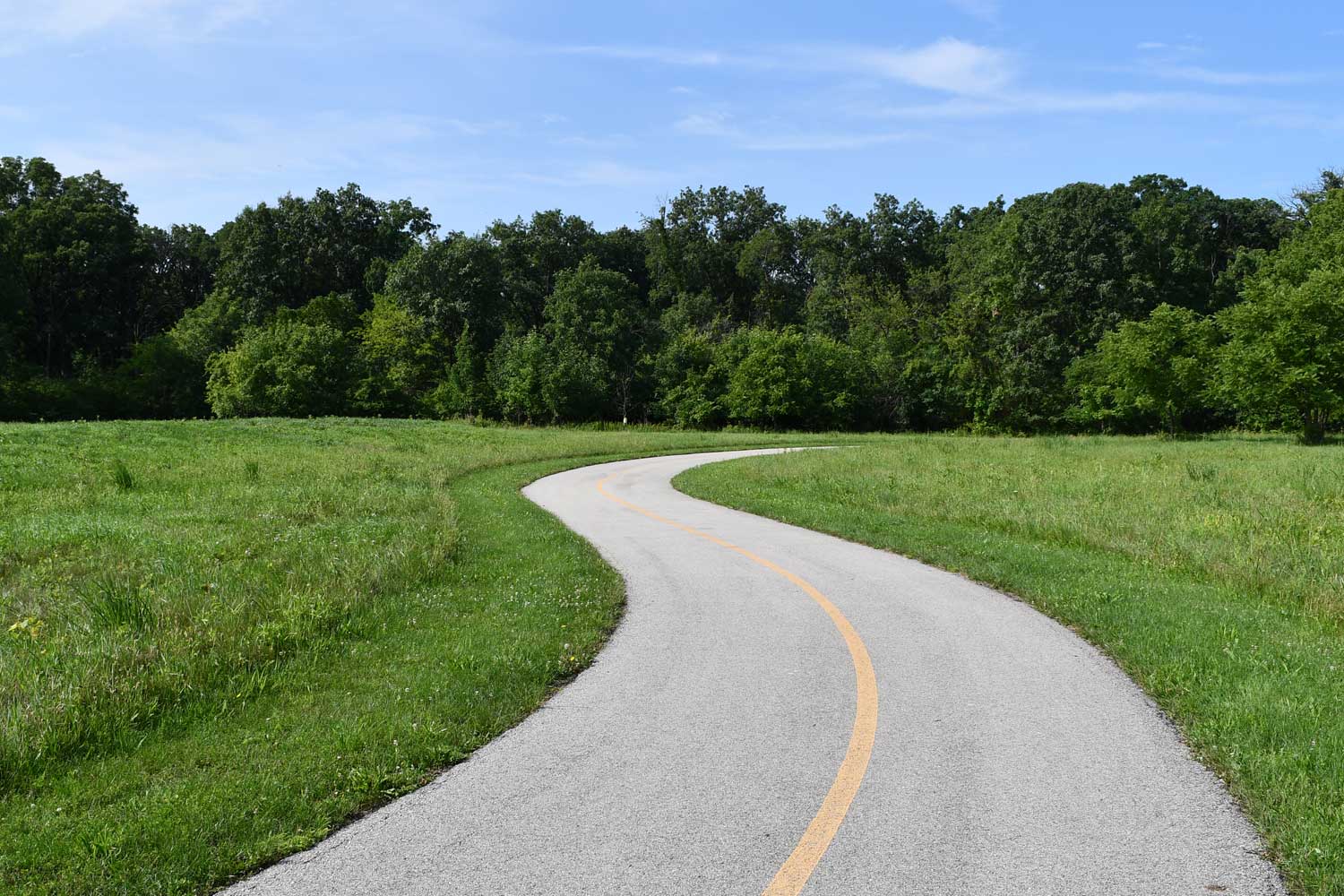 Paved trail lined with grasses.