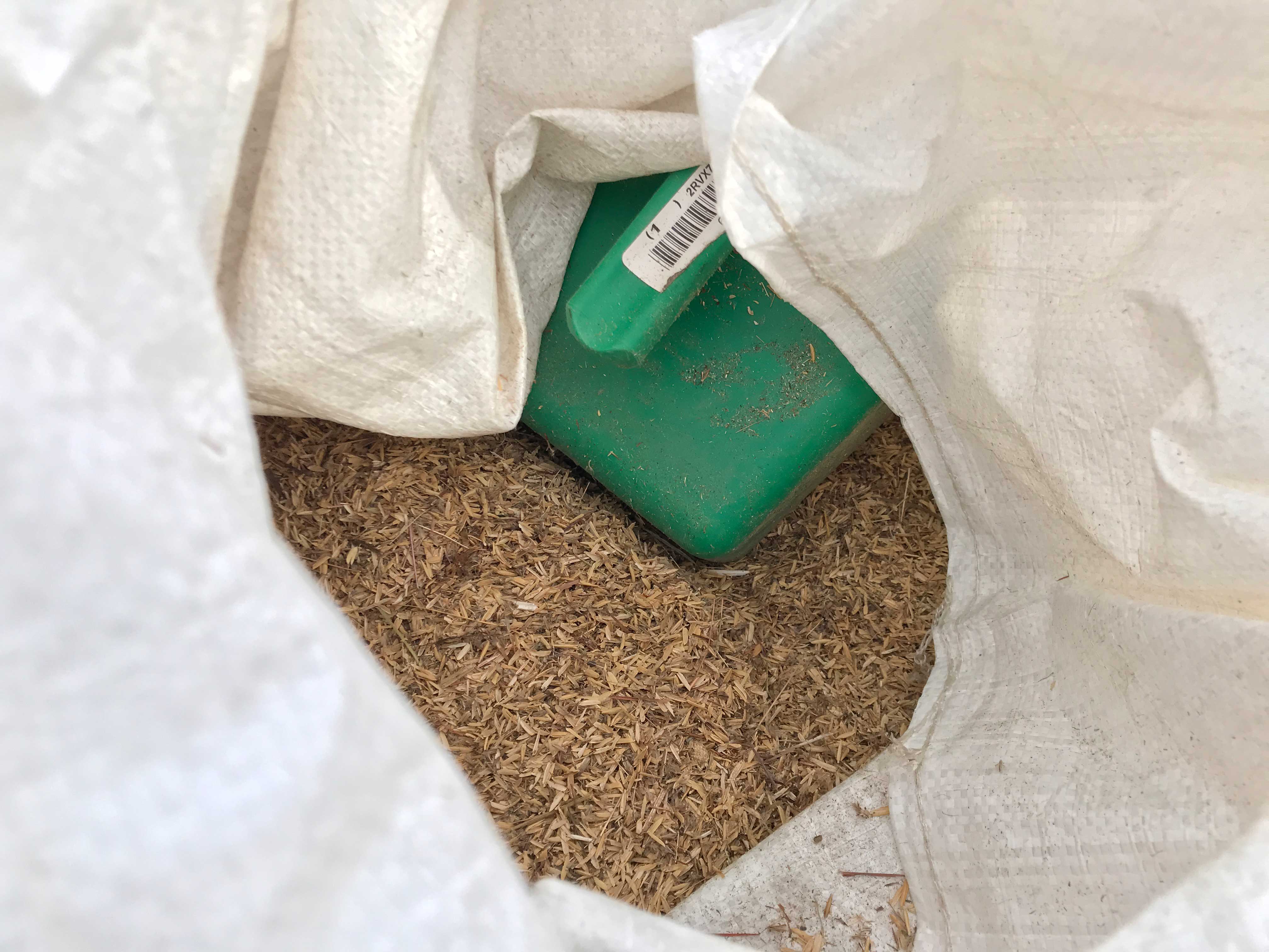 Close-up of a bag full of seeds.