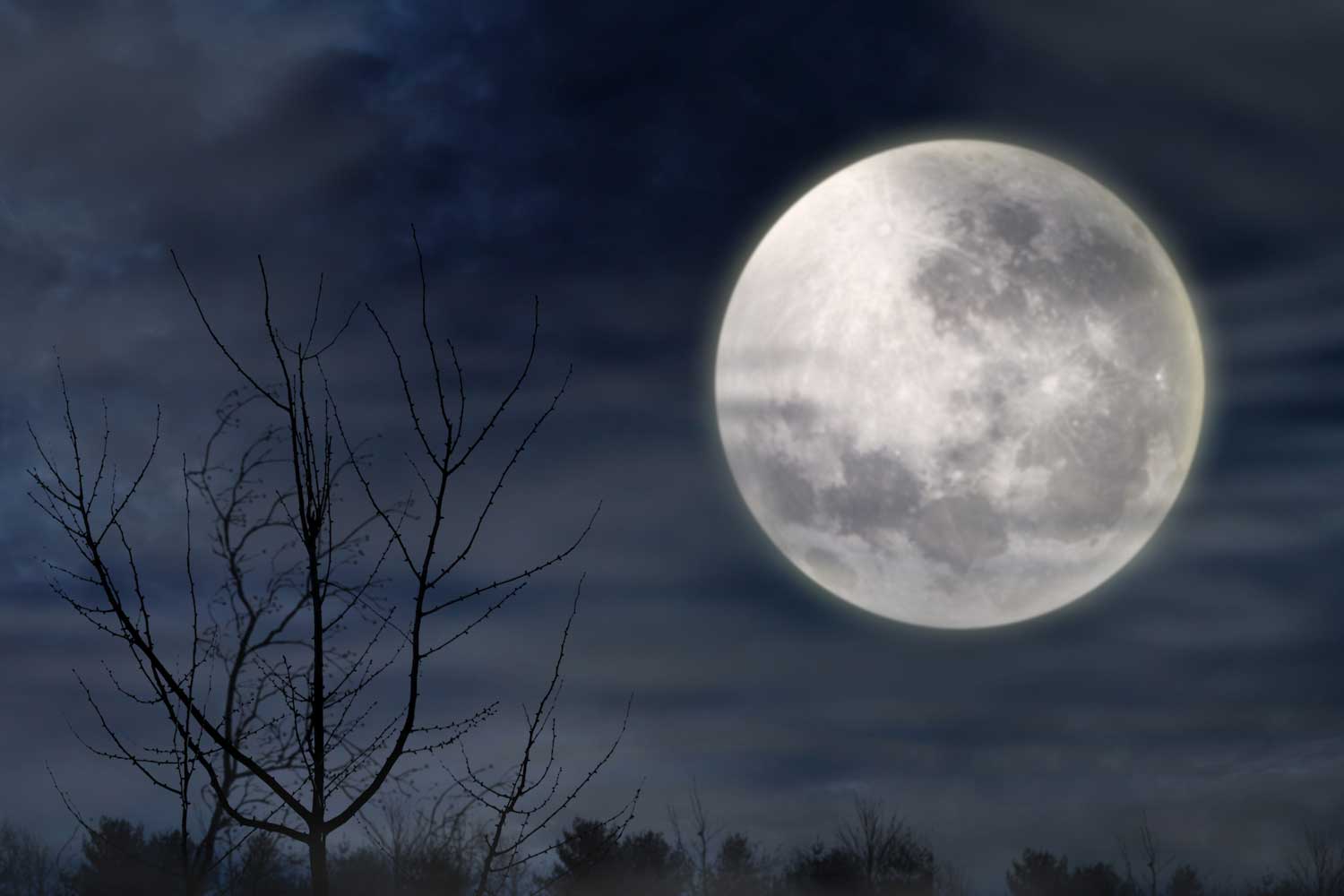 A full moon lighting up the night sky with a bare tree in the foreground