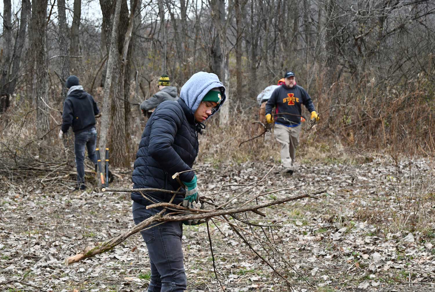 People collecting and carrying cut branches.