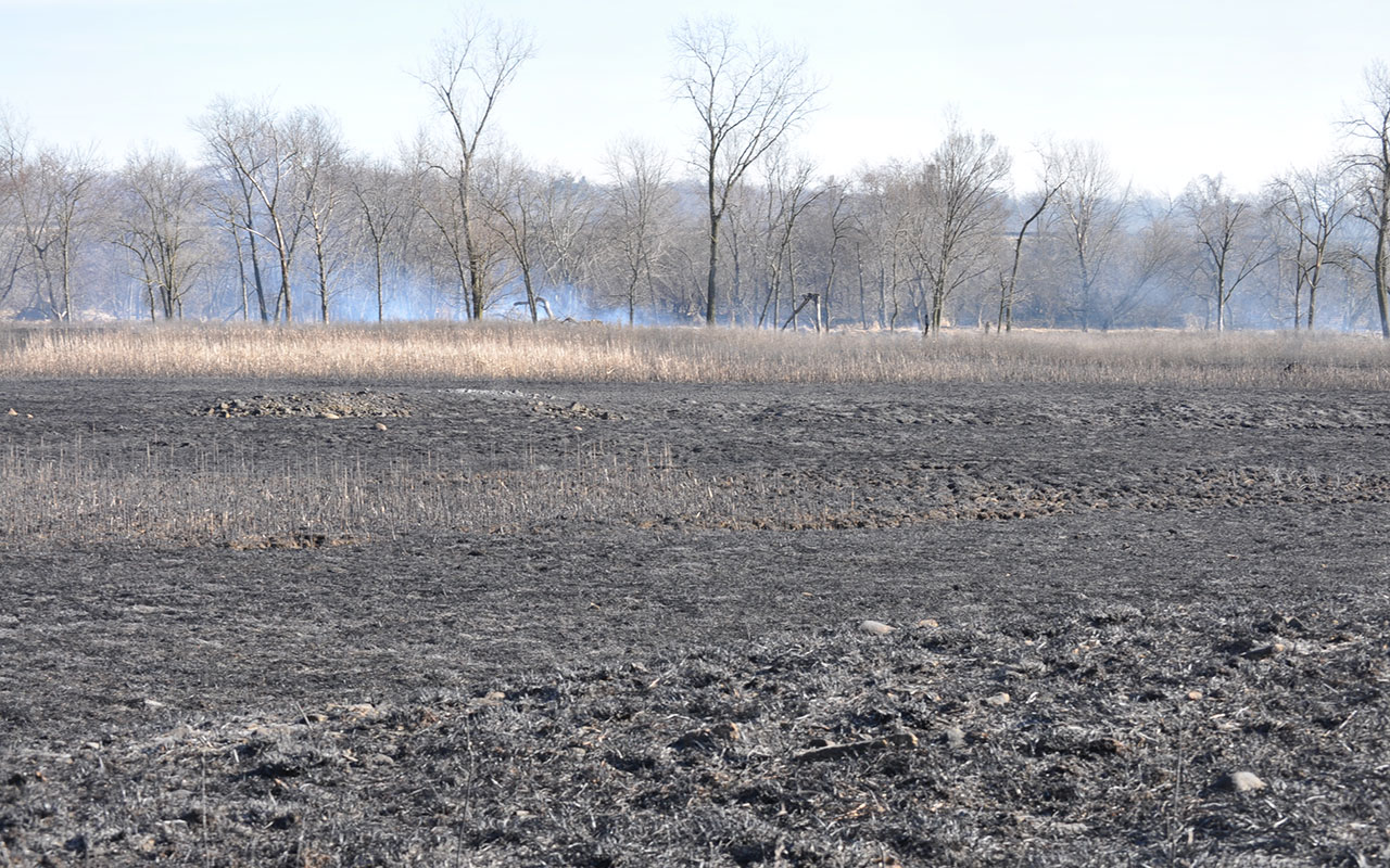 A view of a recent controlled burn at Lockport Prairie Nature Preserve.