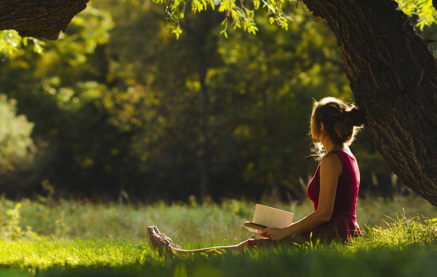 A person holding a book while sitting in the grass next to a tree with a forest in the background.